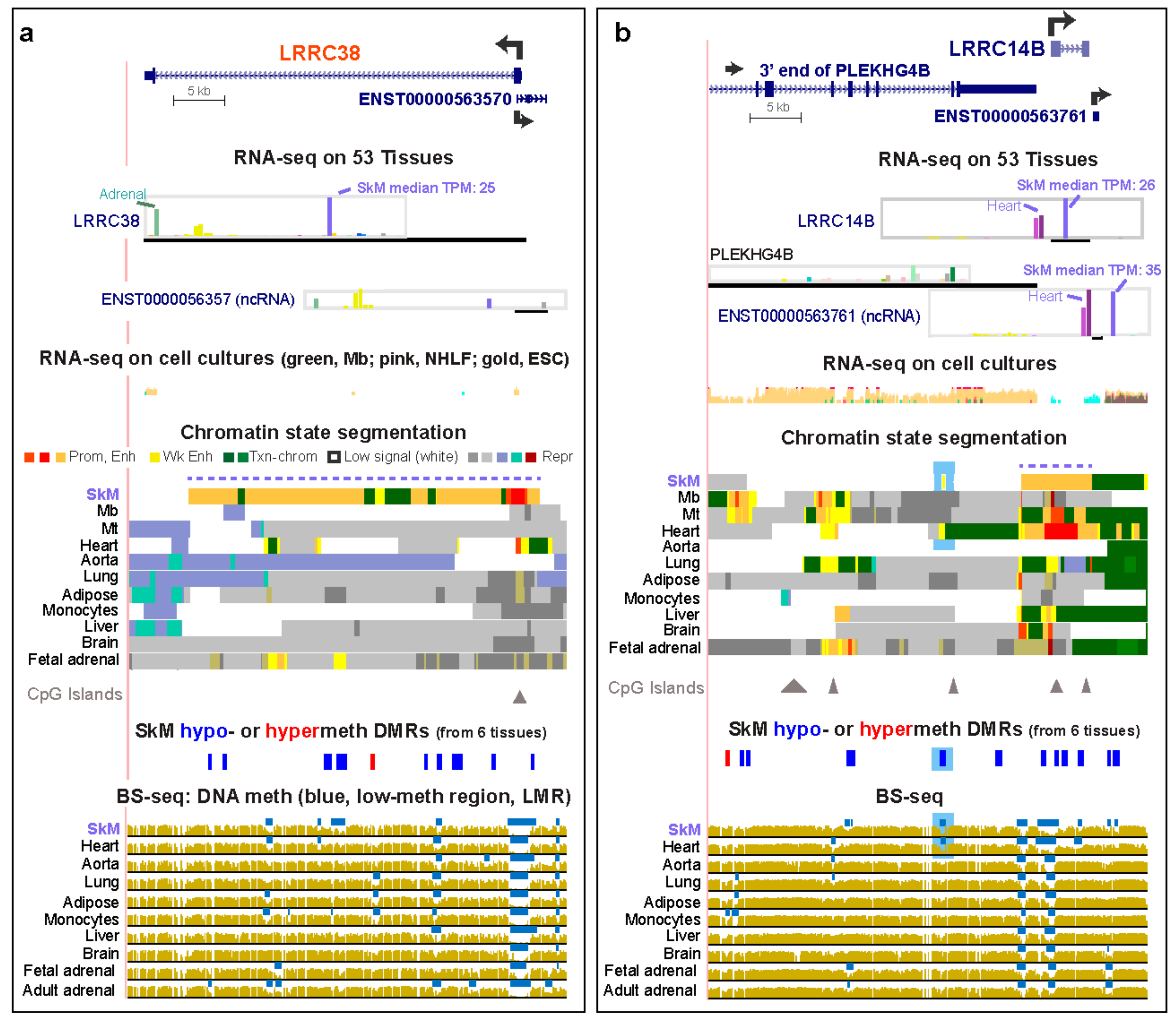 Epigenomes 04 00001 g001