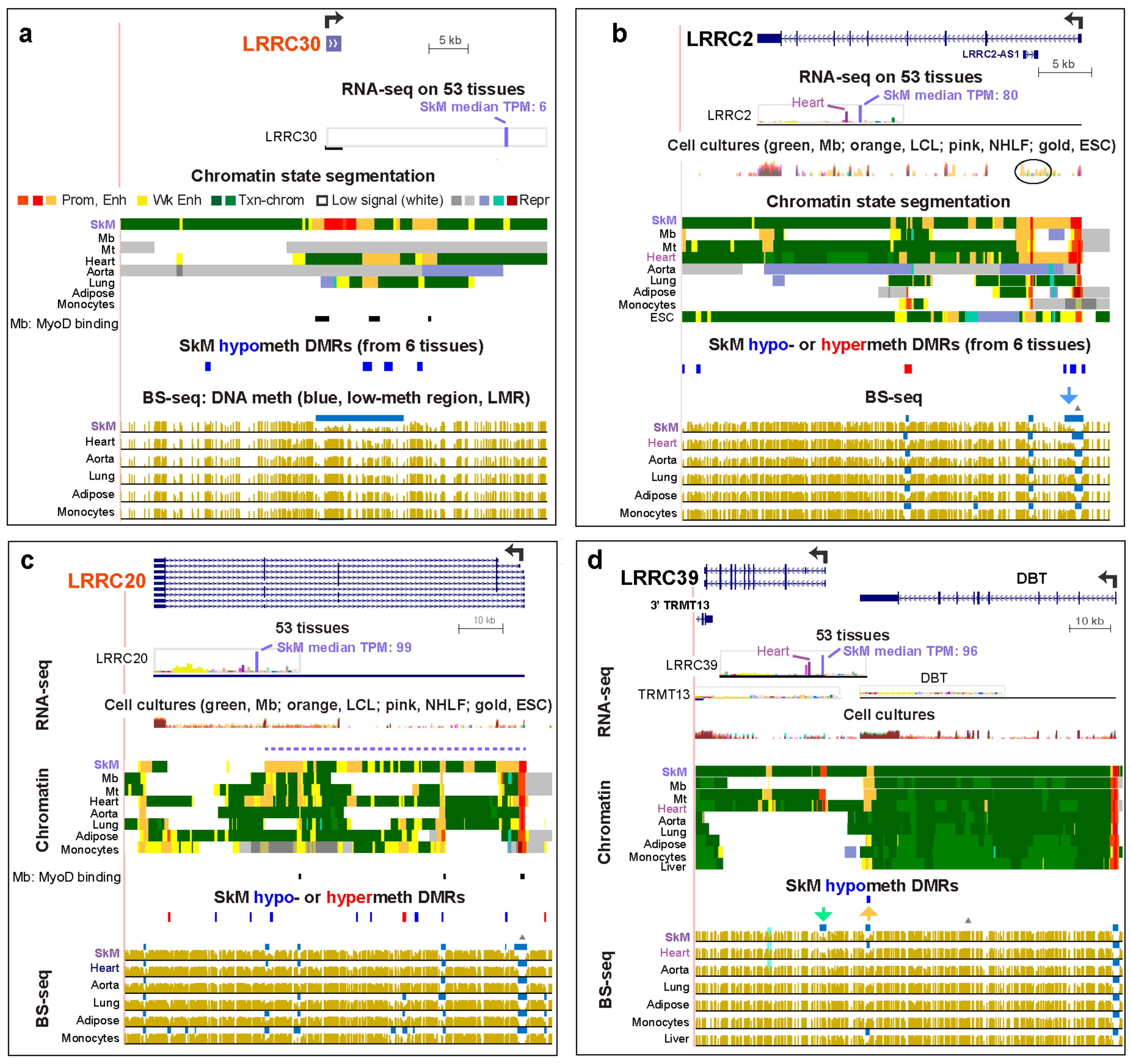Epigenomes 04 00001 g002