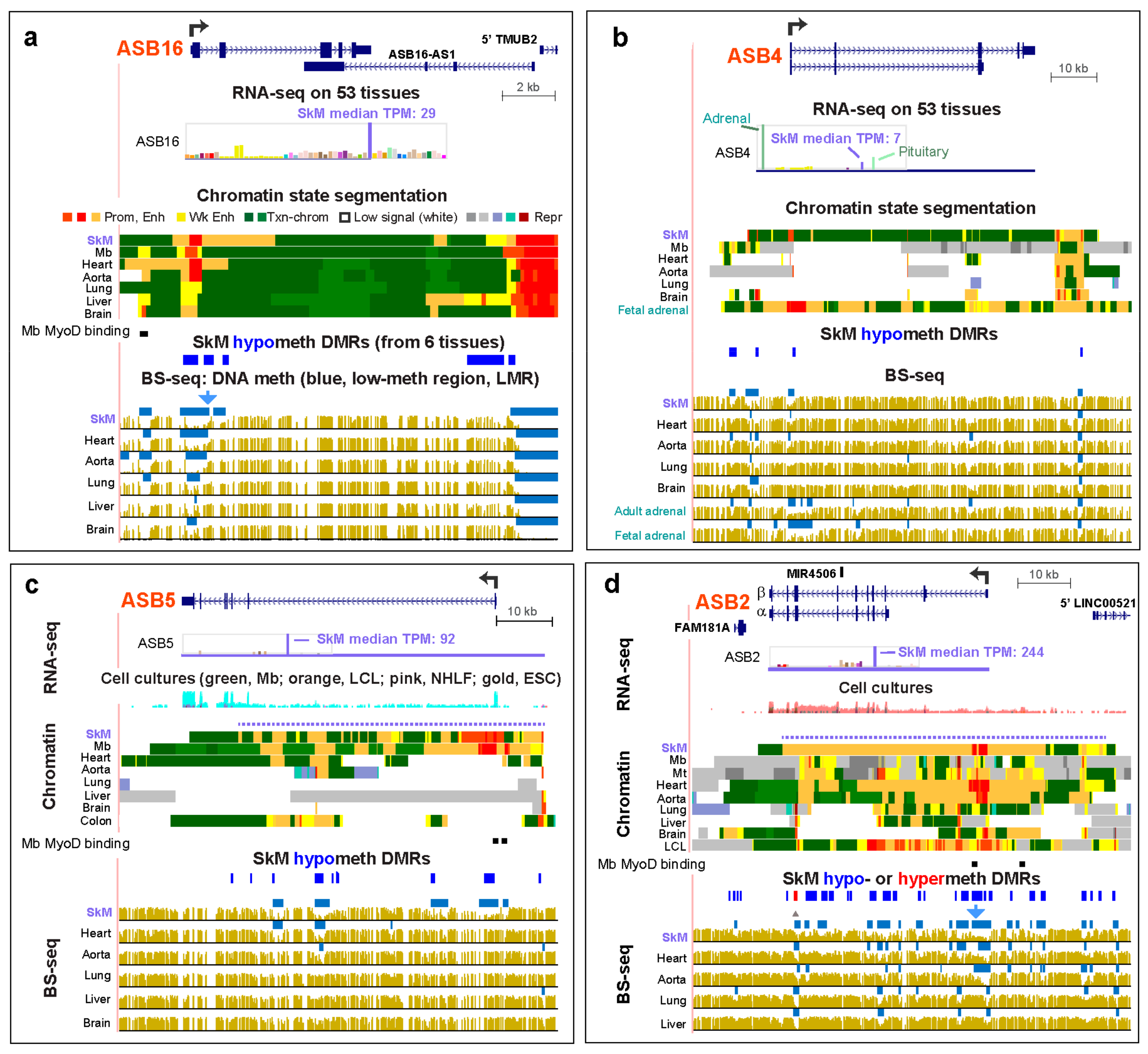 Epigenomes 04 00001 g004