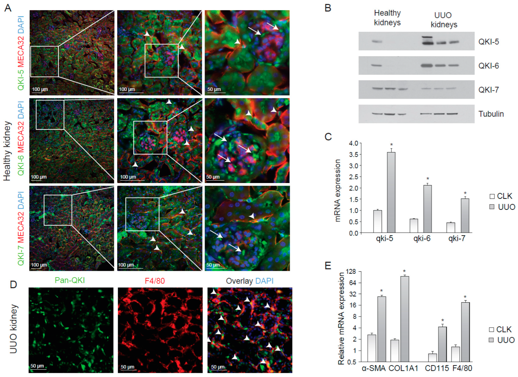 Epigenomes 04 00002 g001