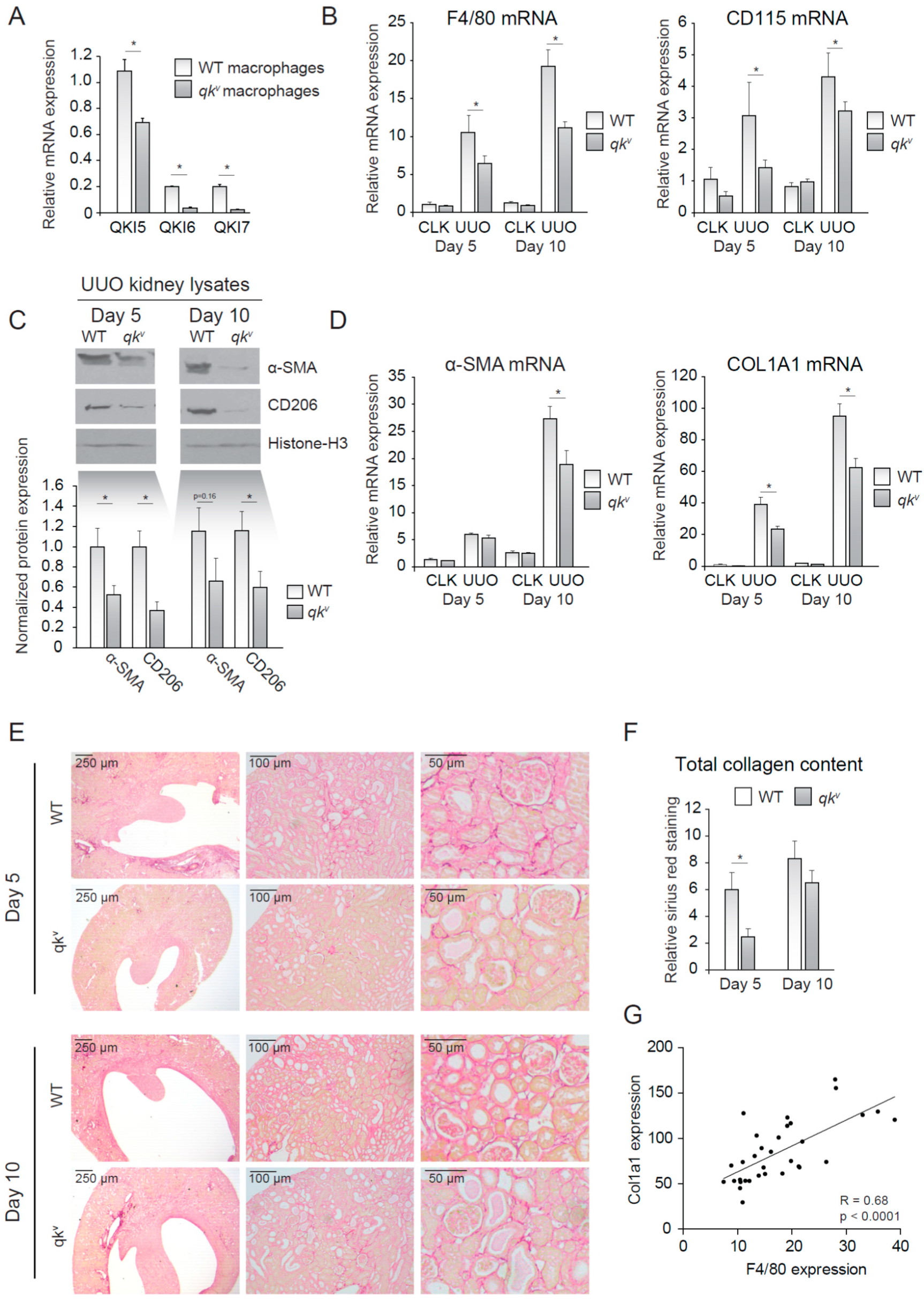Epigenomes 04 00002 g002