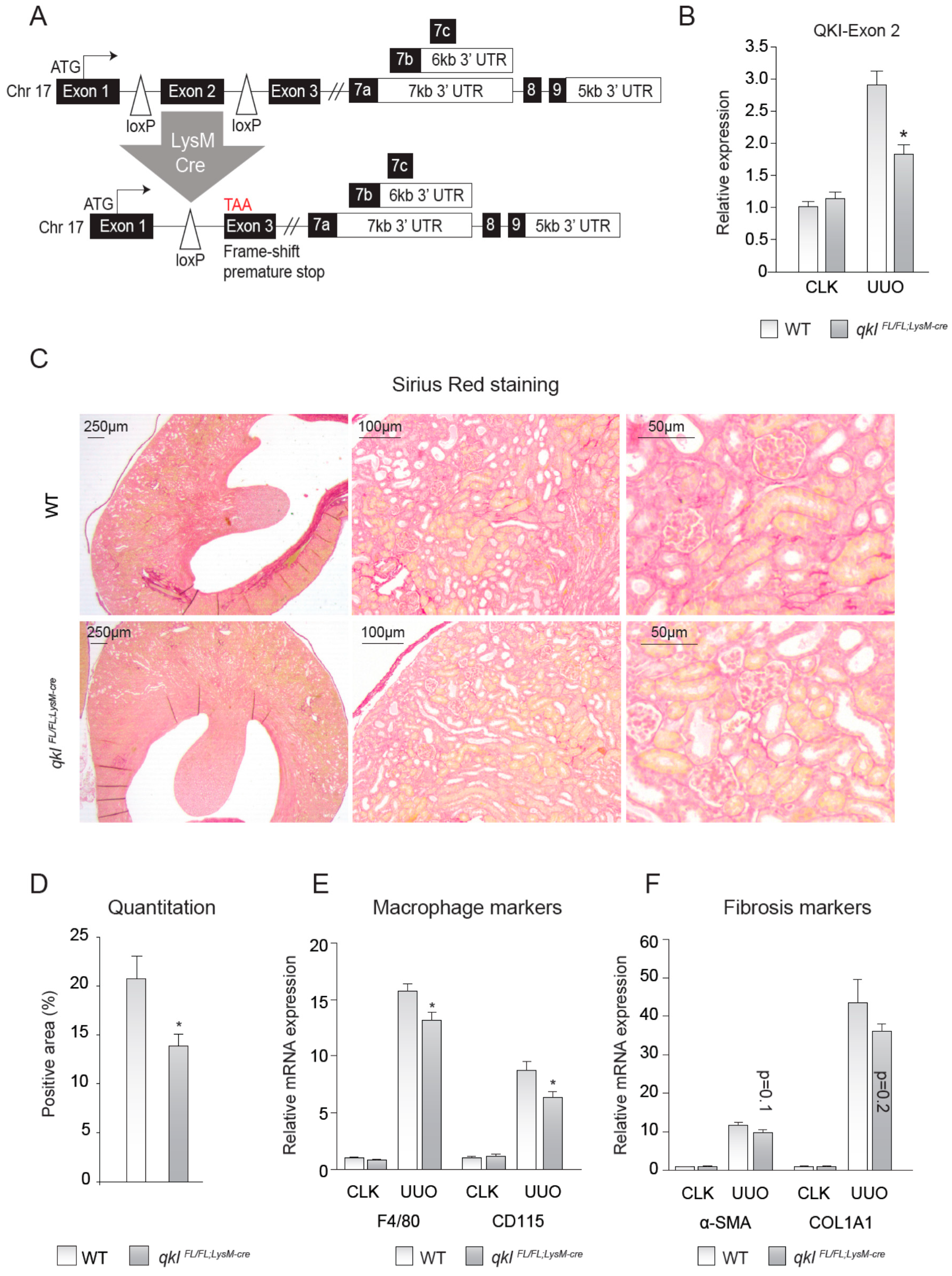 Epigenomes 04 00002 g003