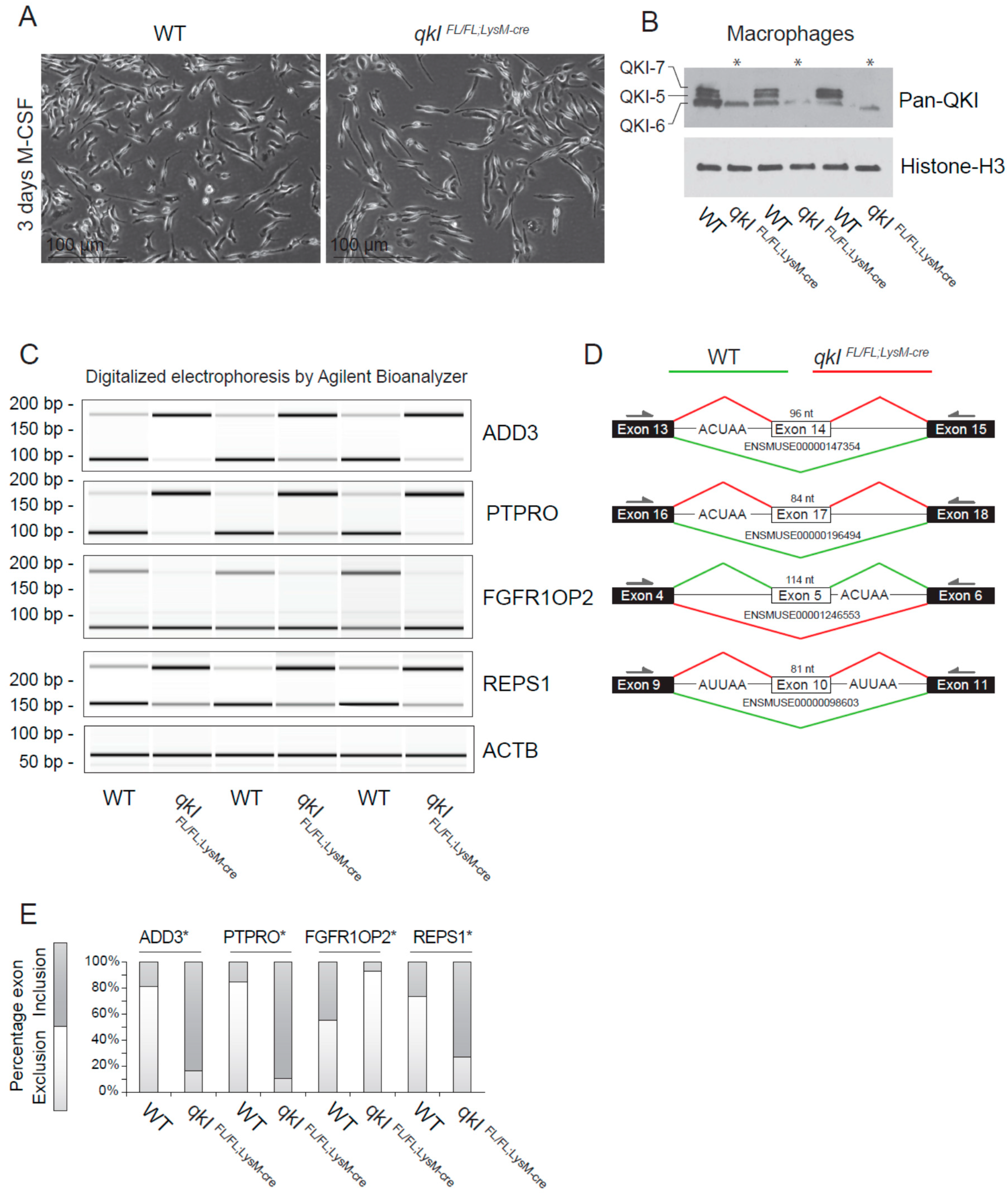 Epigenomes 04 00002 g004