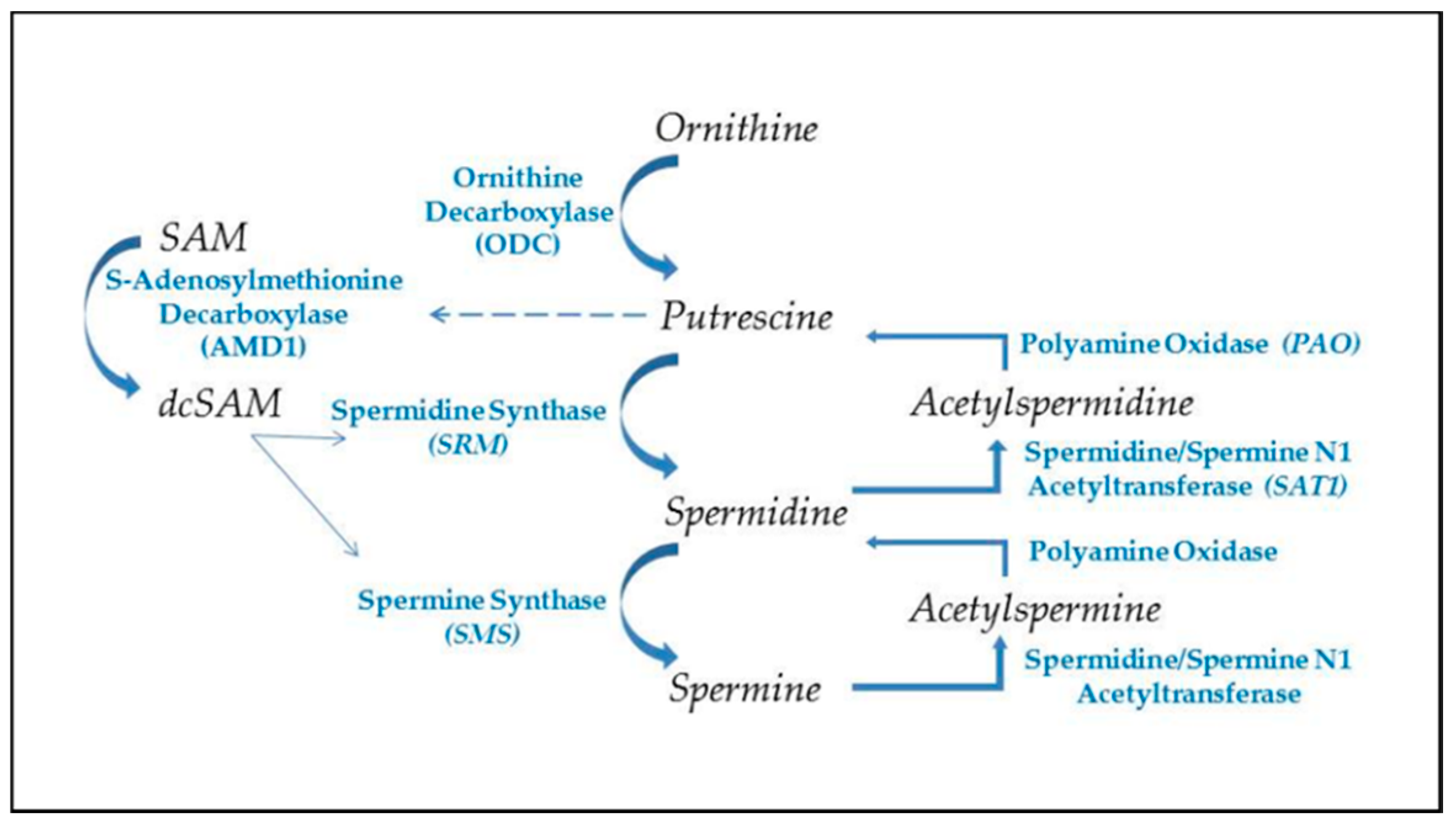 Epigenomes 04 00006 g002