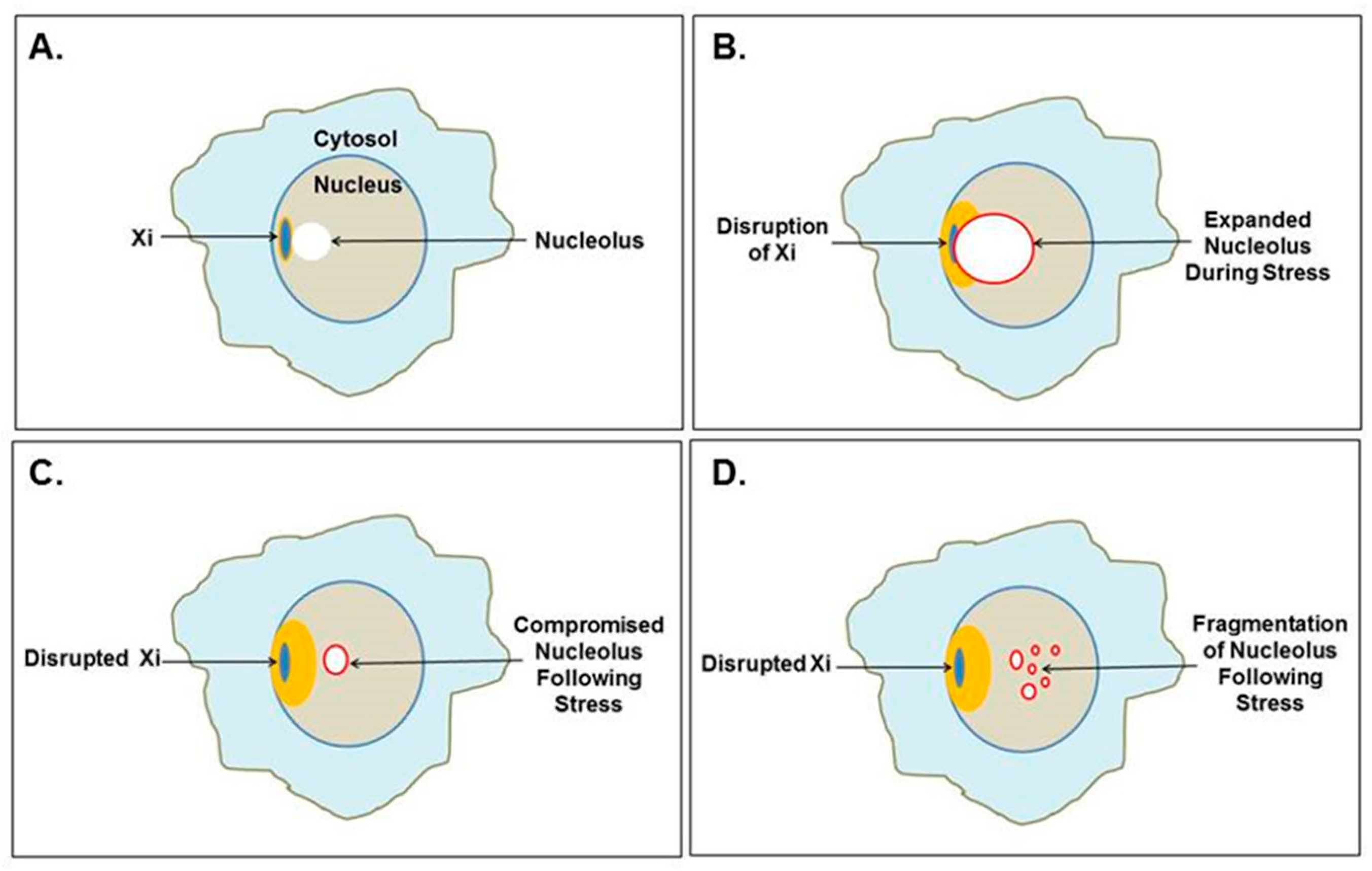 Epigenomes 04 00006 g004