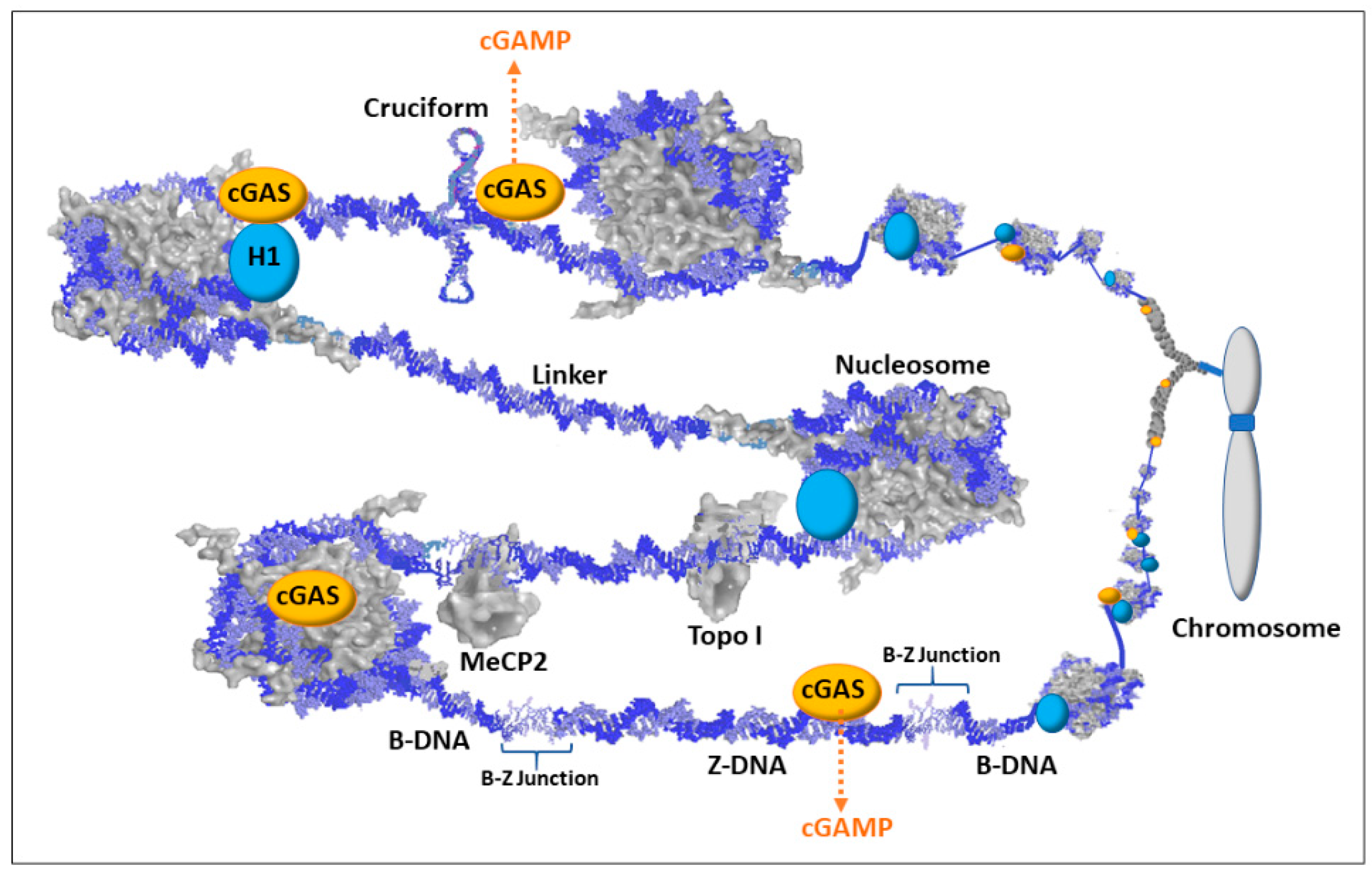 Epigenomes 04 00006 g005