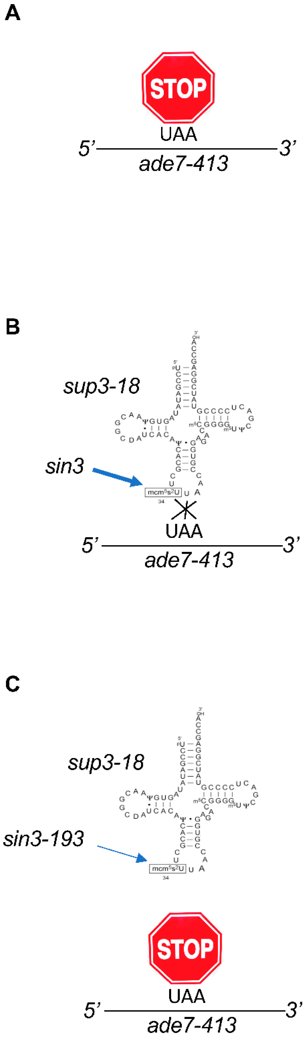 Epigenomes 04 00007 g002