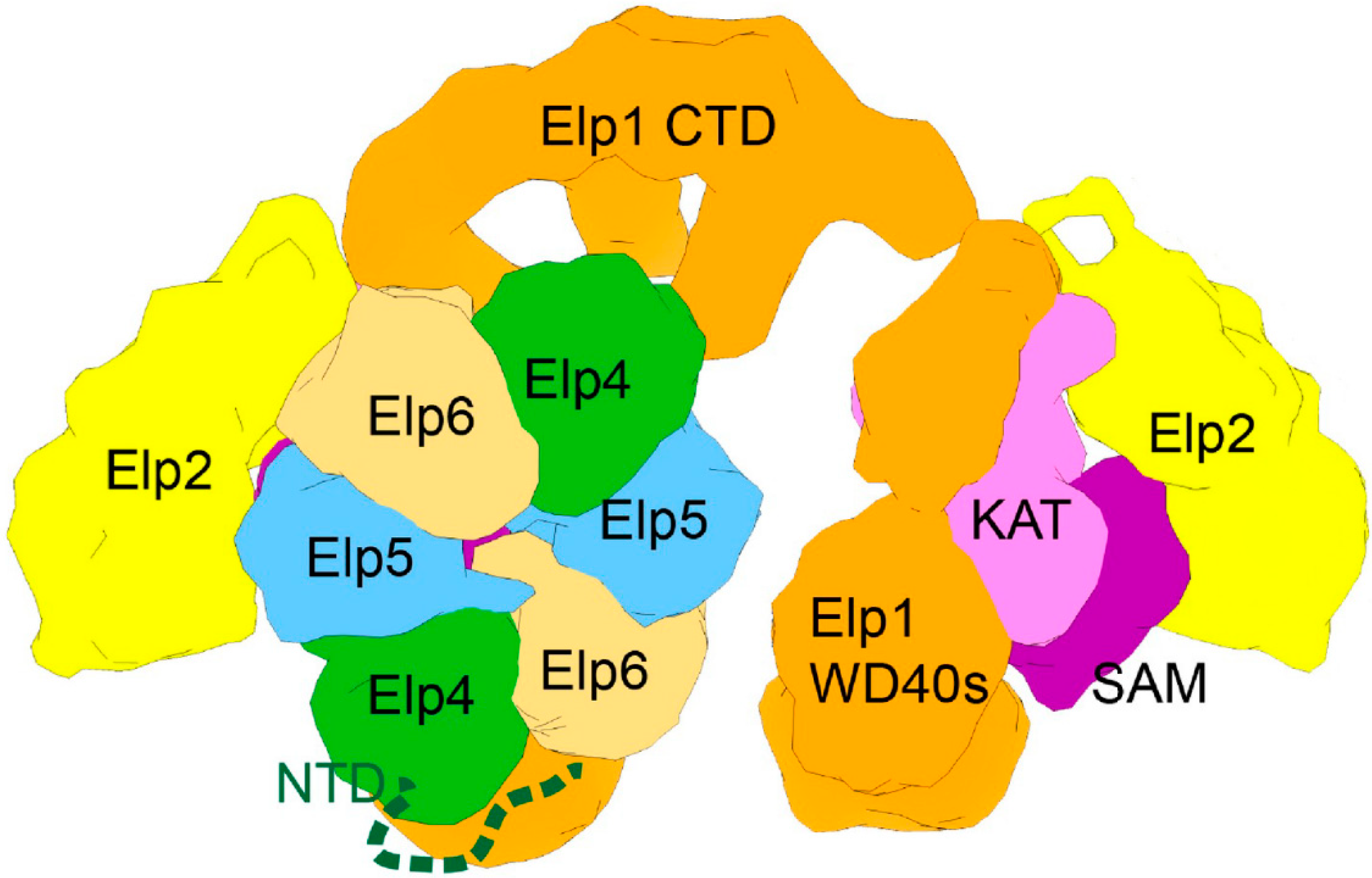 Epigenomes 04 00007 g006