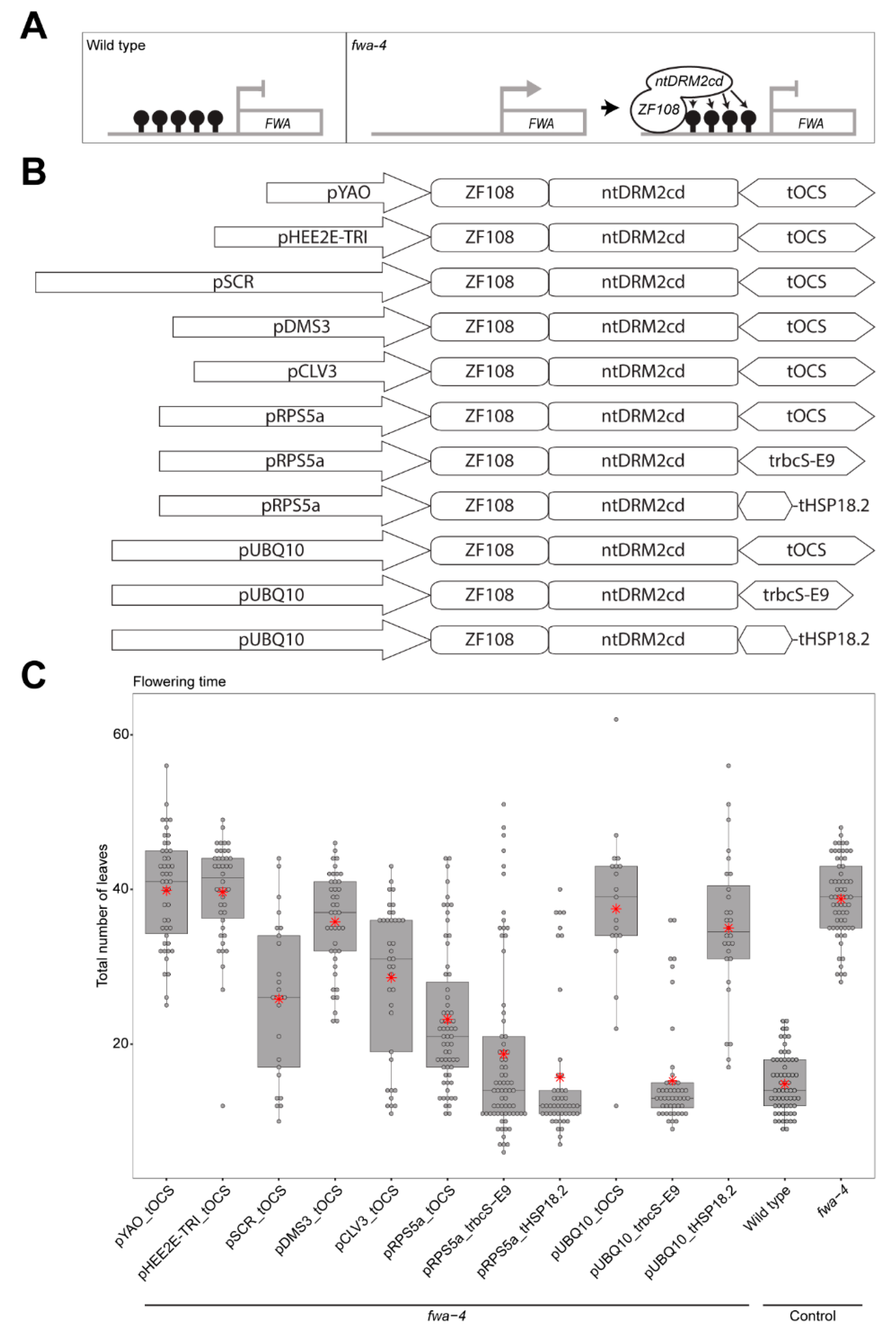 Epigenomes 04 00009 g001