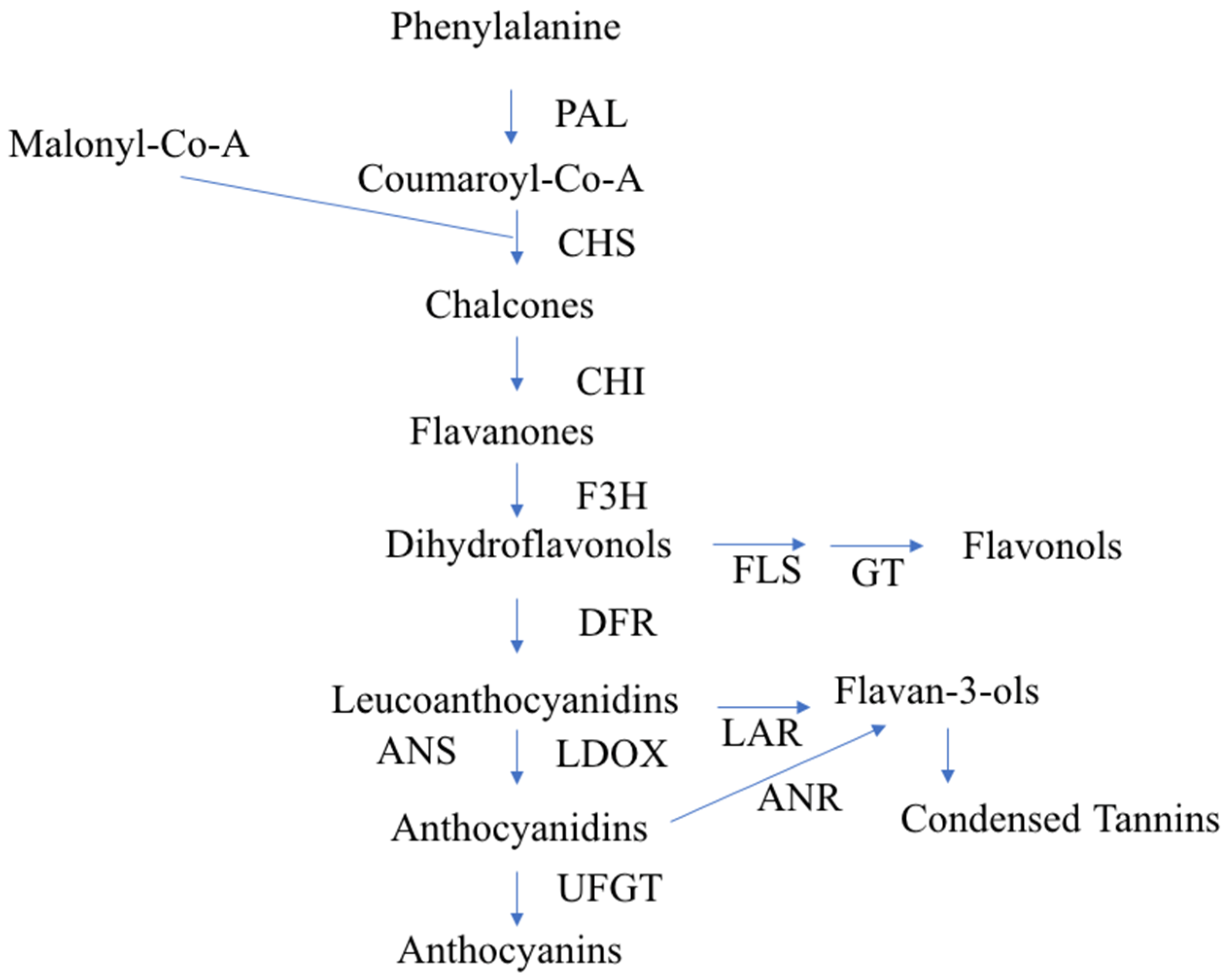 Epigenomes 04 00013 g001
