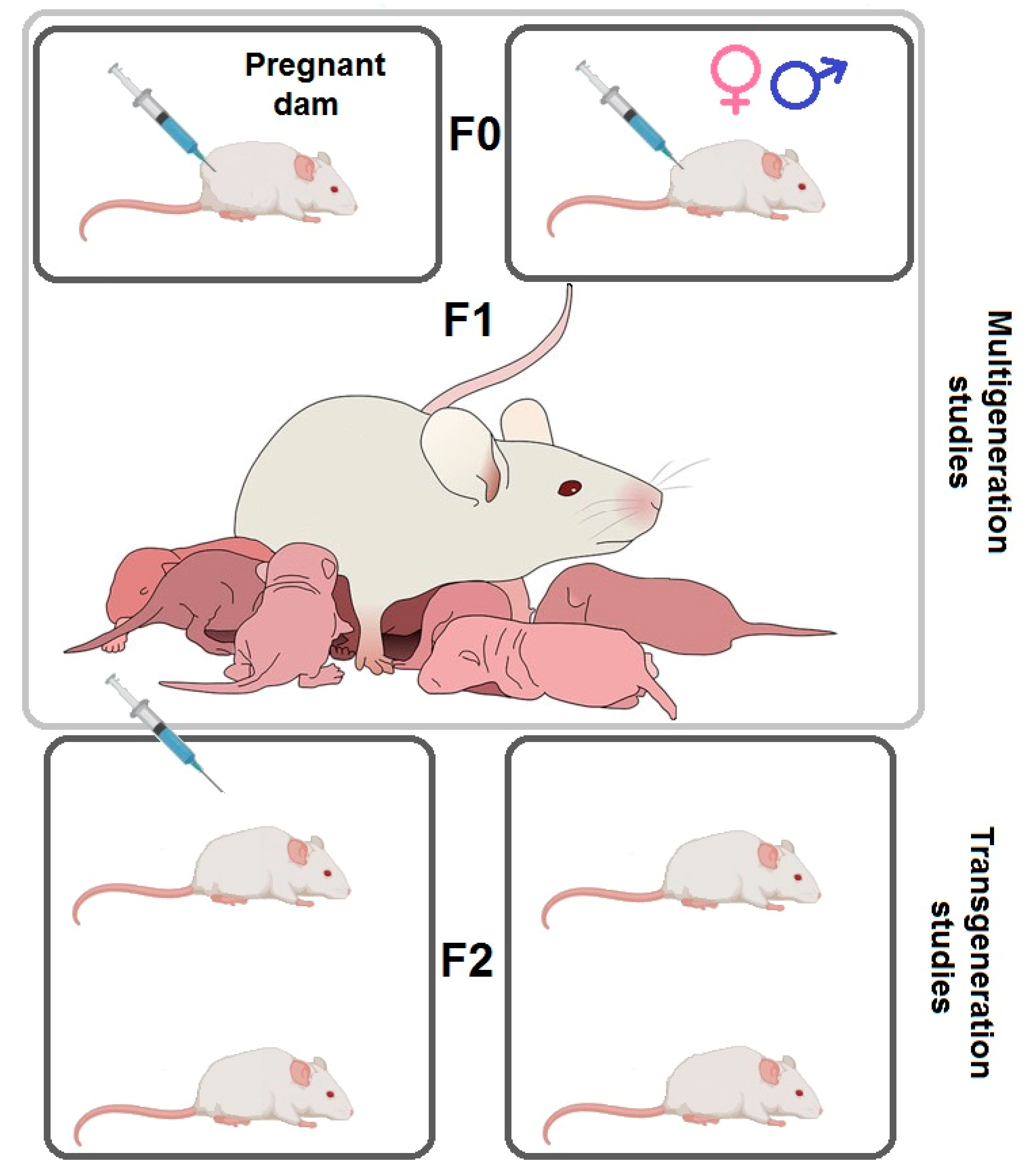 Epigenomes 04 00014 g003