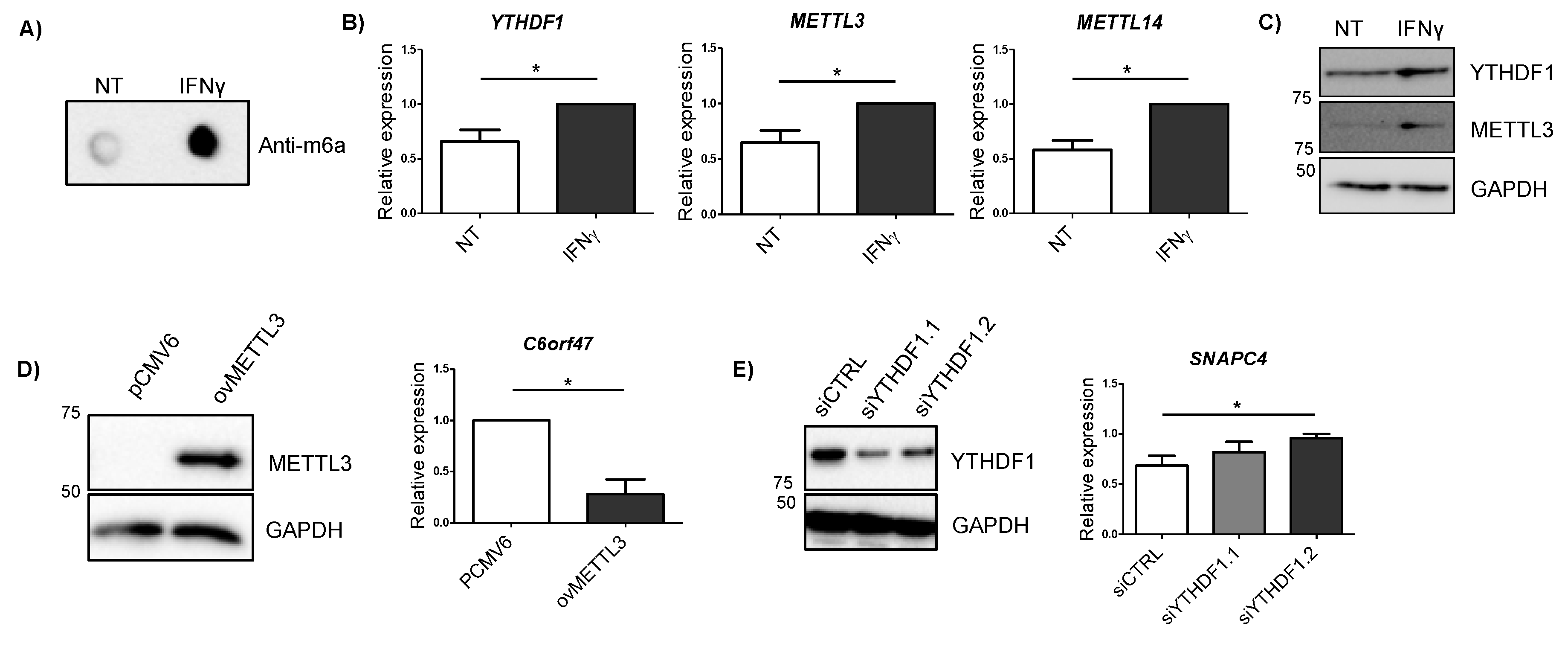Epigenomes 04 00016 g004