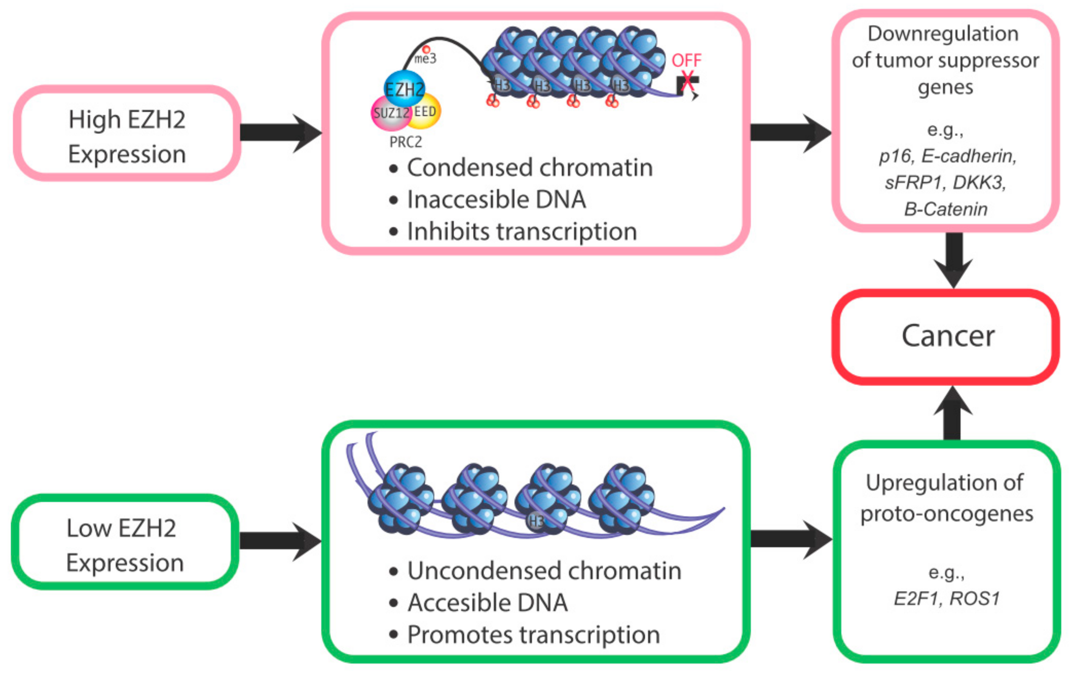 Epigenomes 04 00020 g003 Epigenomes 04 00020 g003