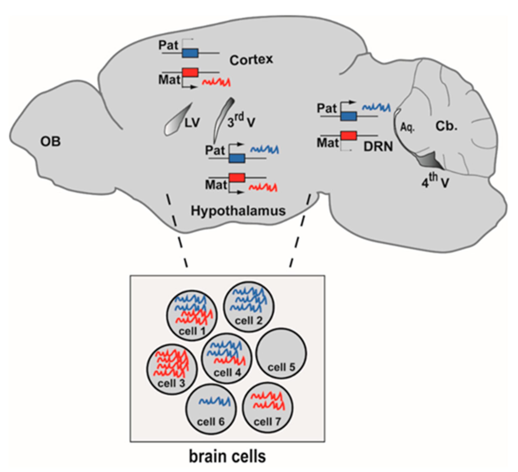 Epigenomes 04 00021 g001
