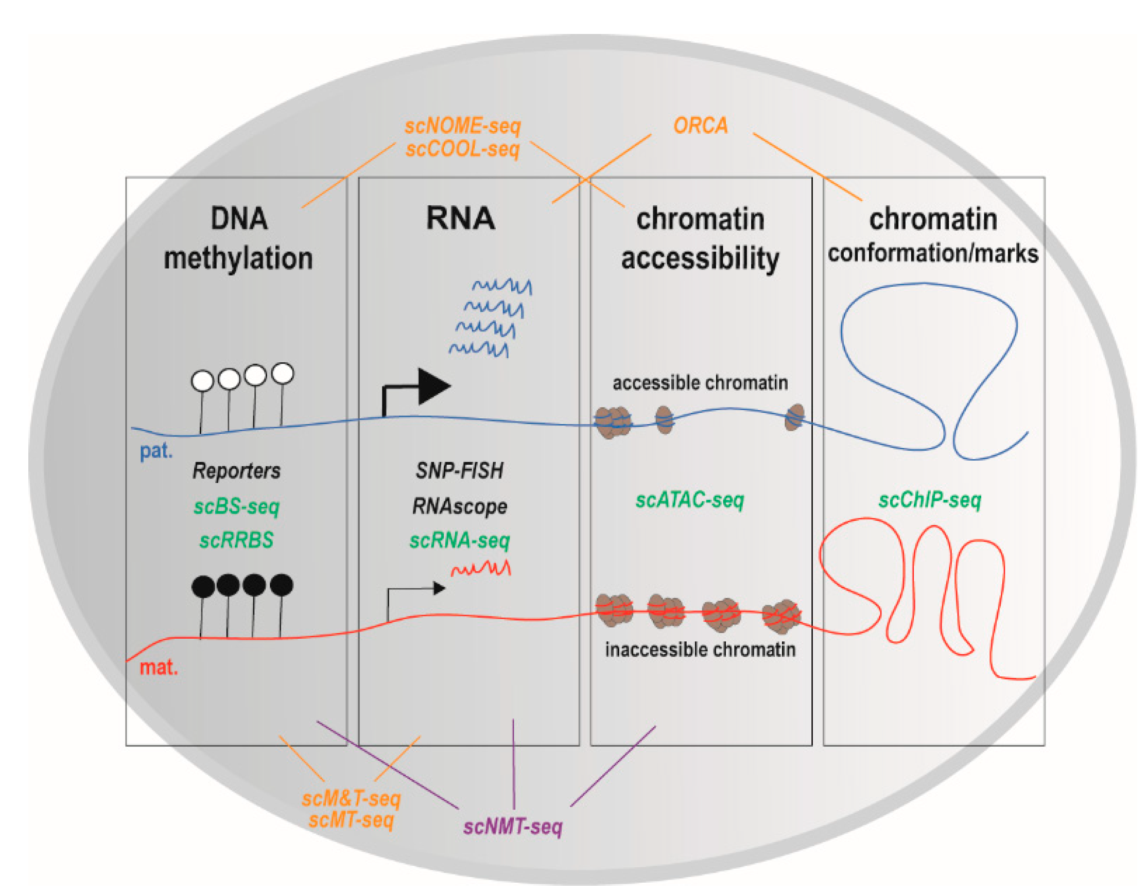 Epigenomes 04 00021 g003