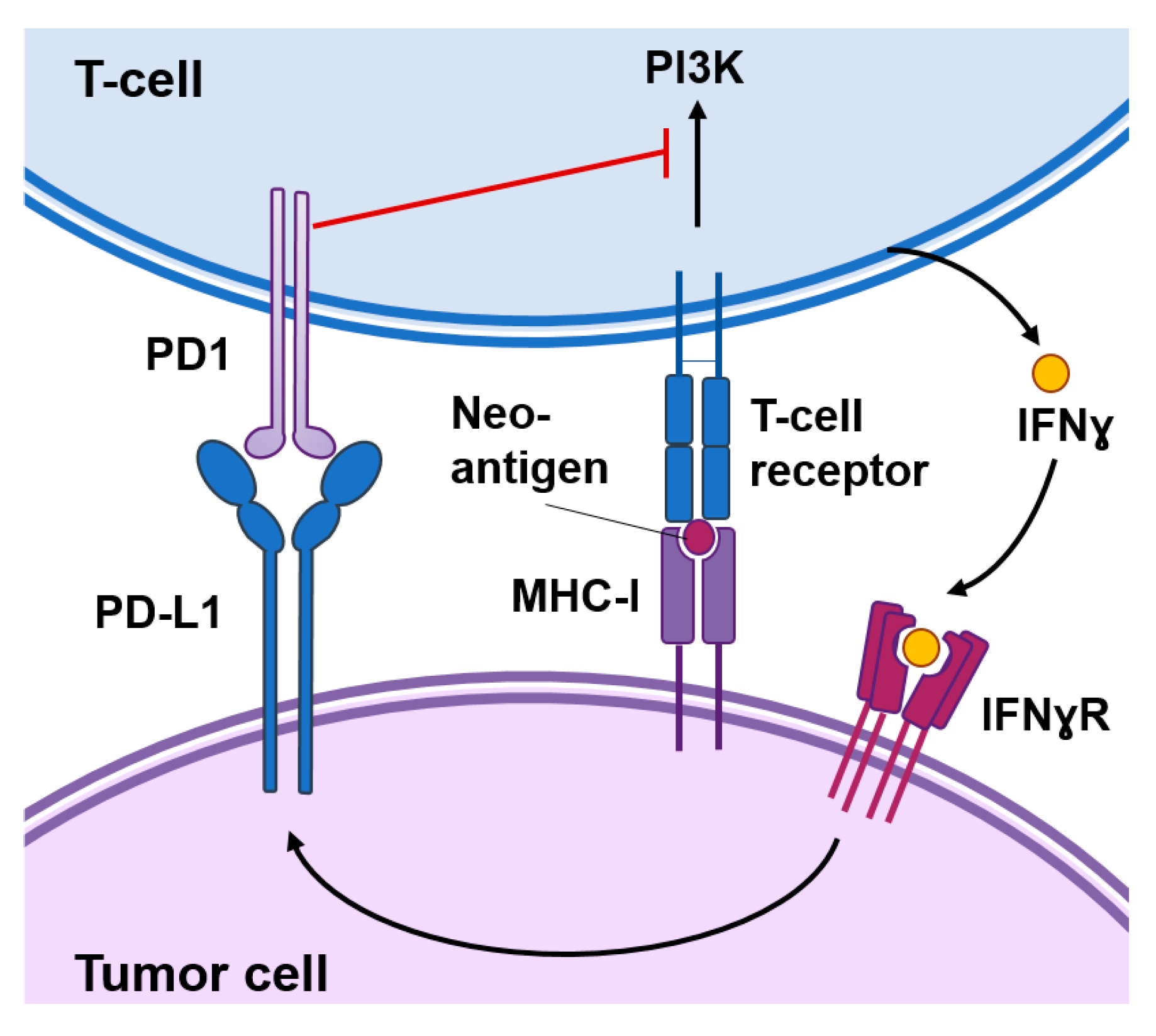 Epigenomes 04 00022 g001 Epigenomes 04 00022 g001