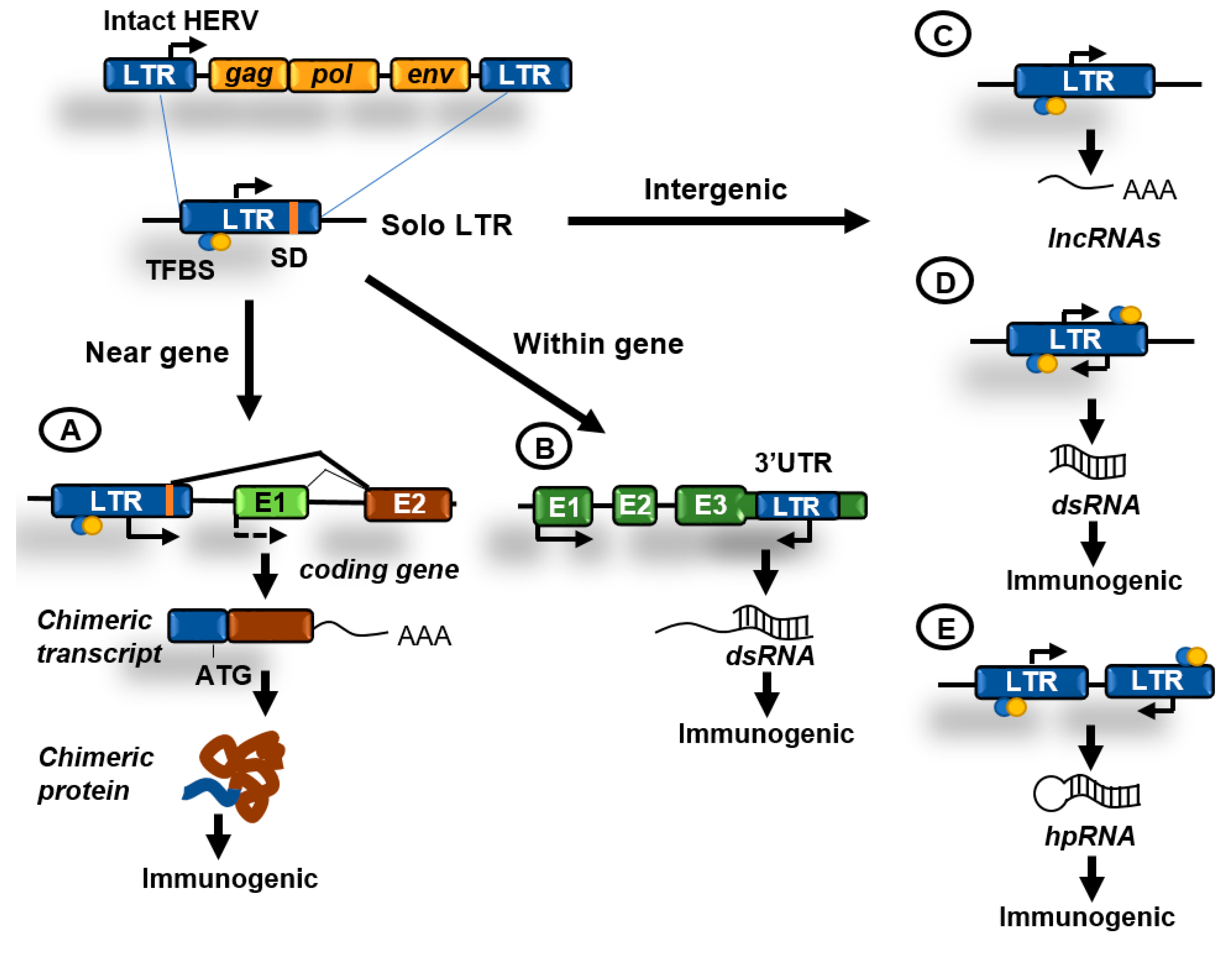 Epigenomes 04 00022 g003 Epigenomes 04 00022 g003