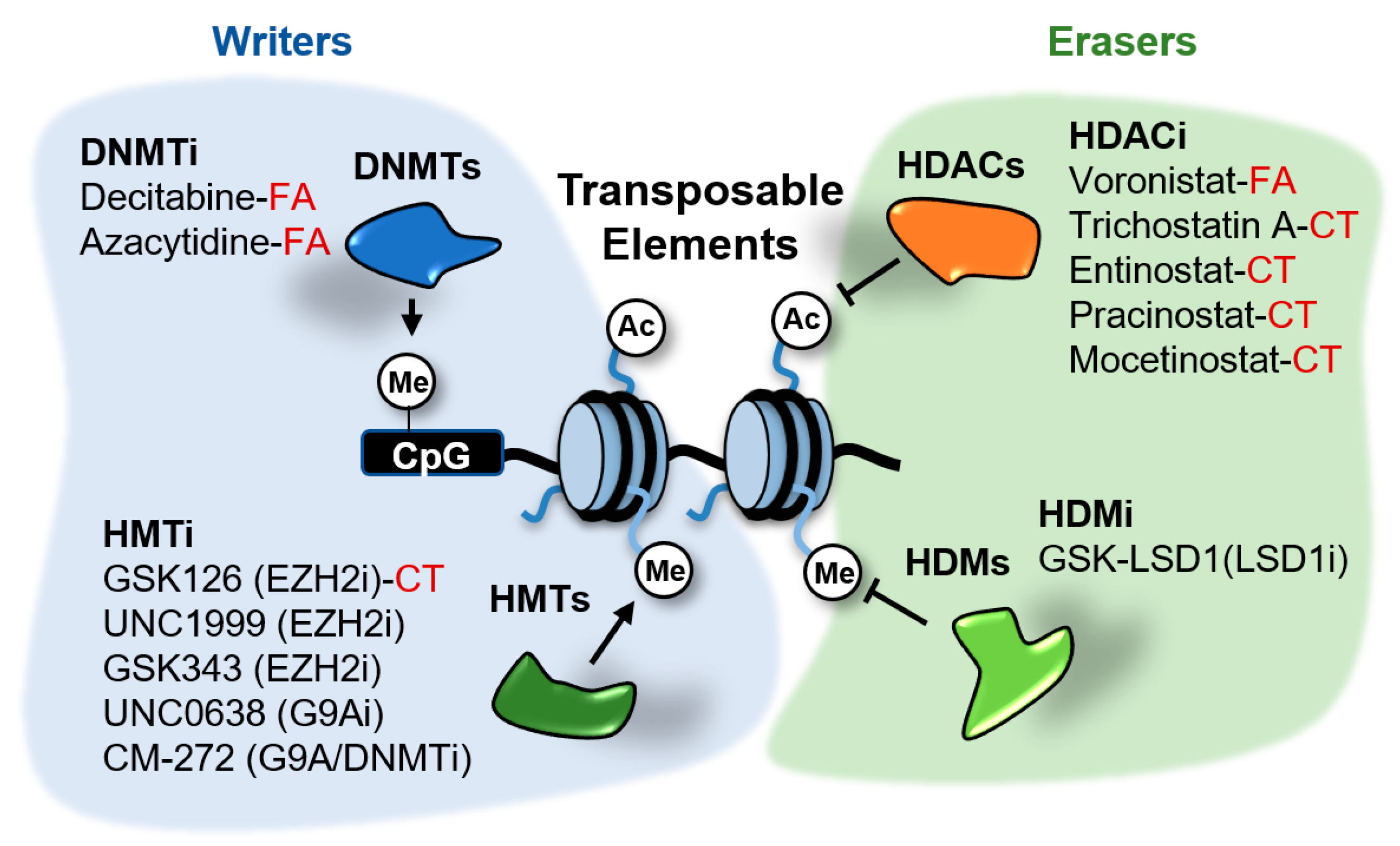 Epigenomes 04 00022 g005 Epigenomes 04 00022 g005