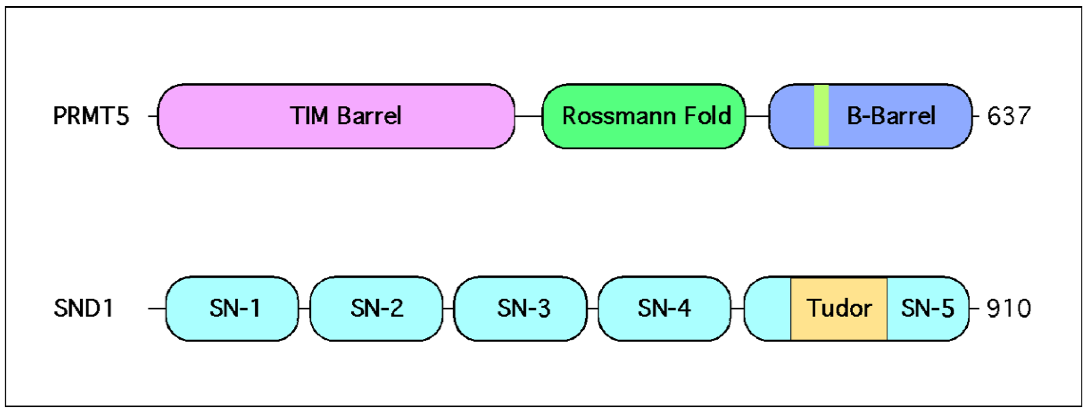 Epigenomes 05 00002 g002