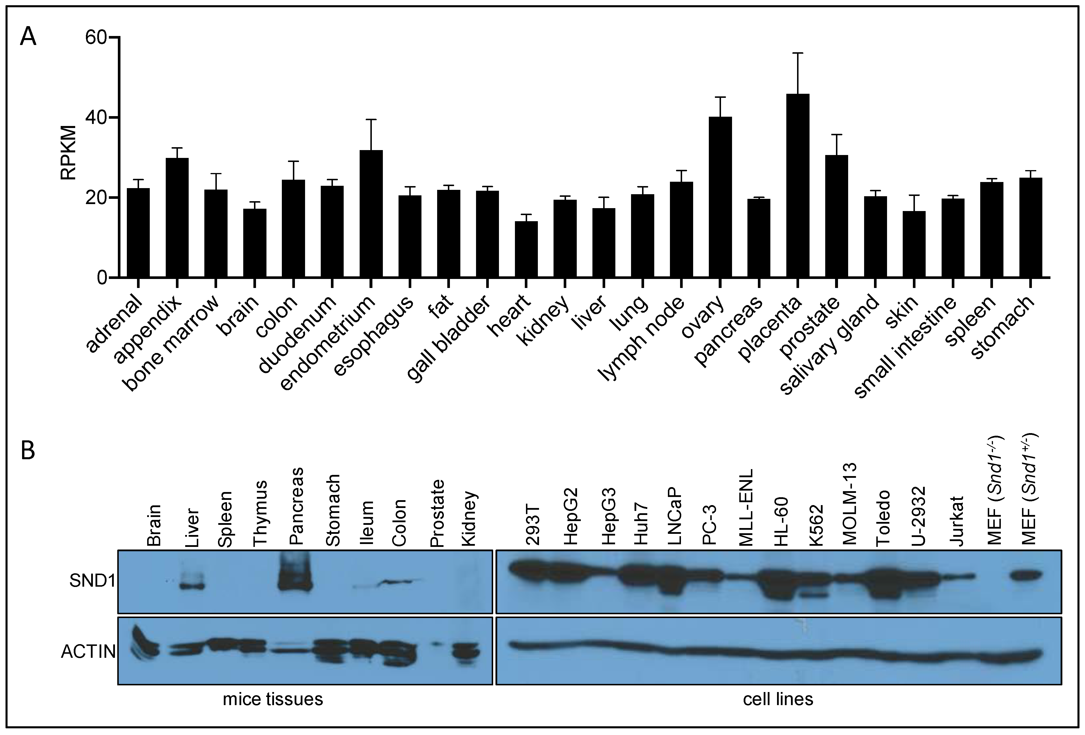 Epigenomes 05 00002 g003