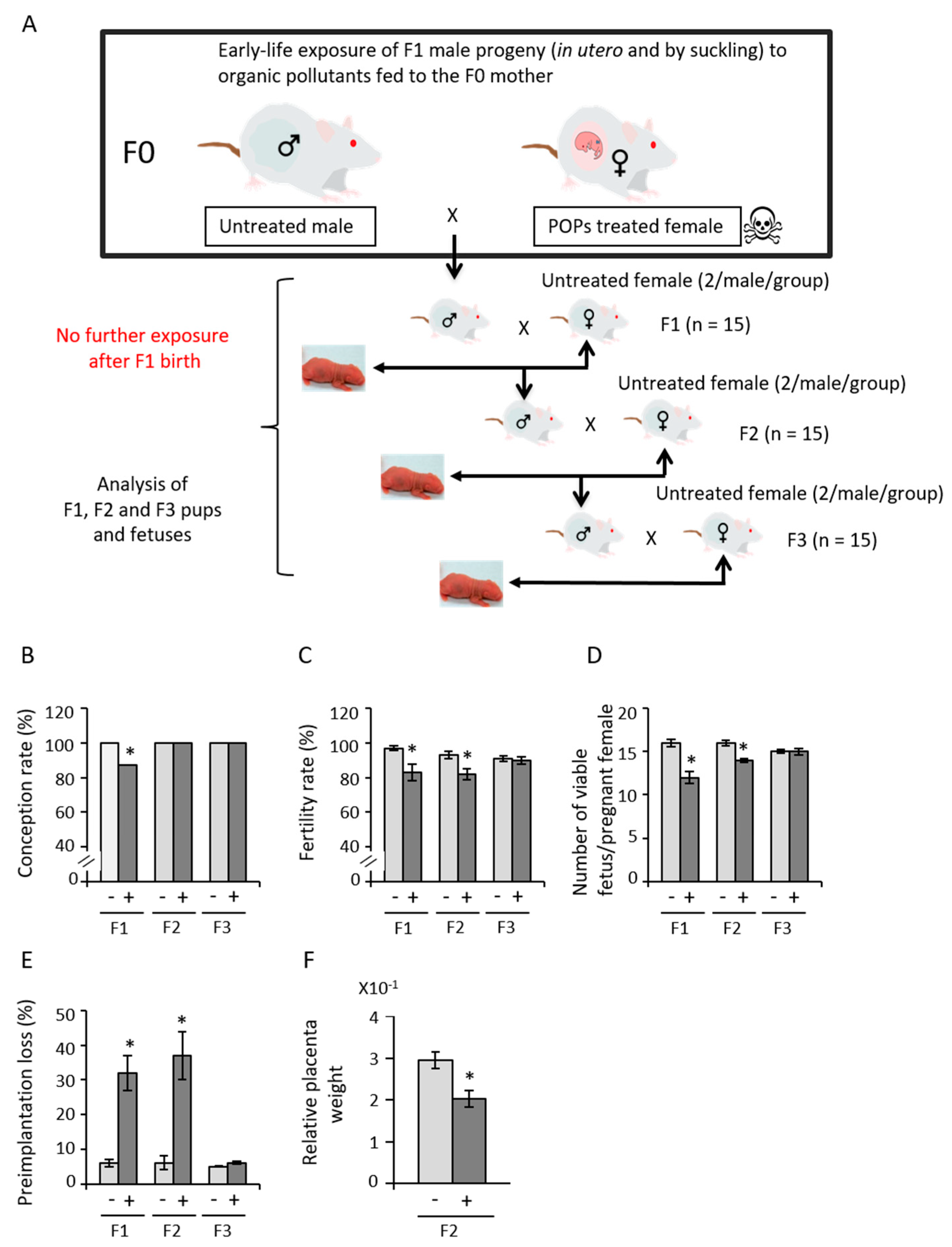 Epigenomes 05 00010 g001 Epigenomes 05 00010 g001
