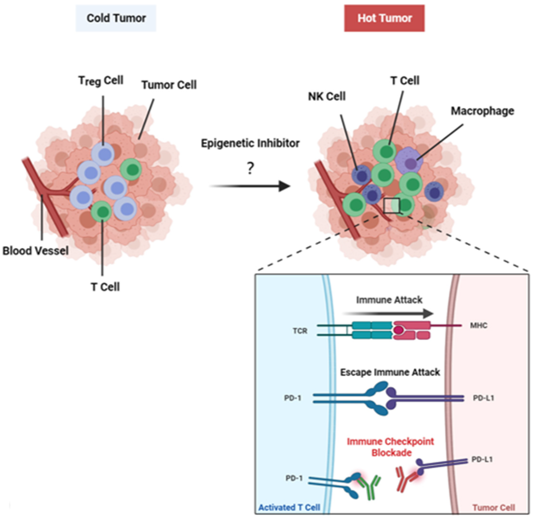 Epigenomes 05 00011 g001
