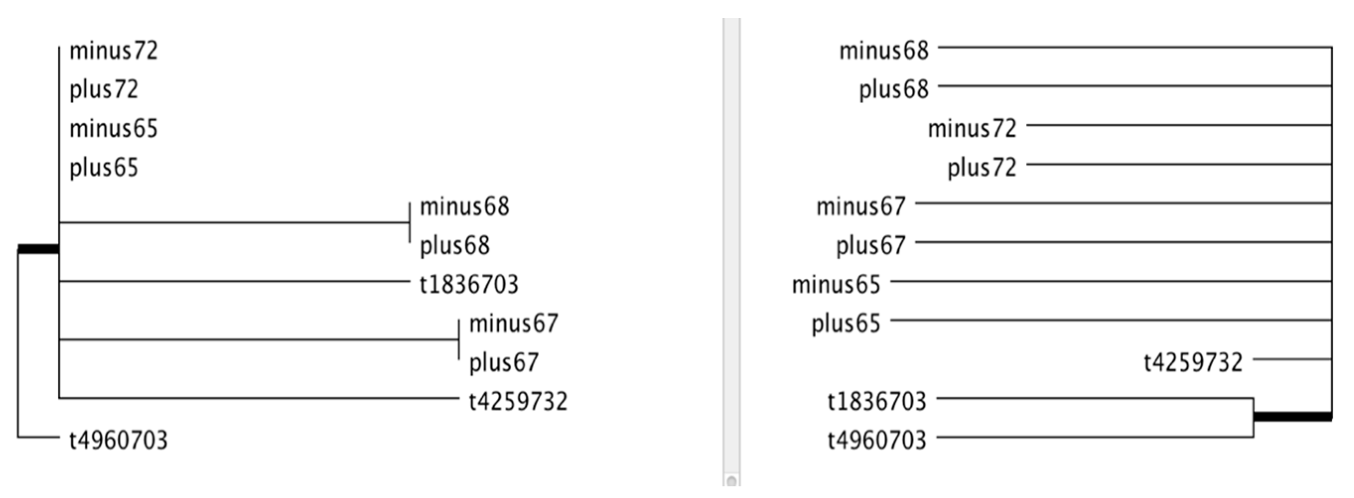 Epigenomes 05 00012 g004