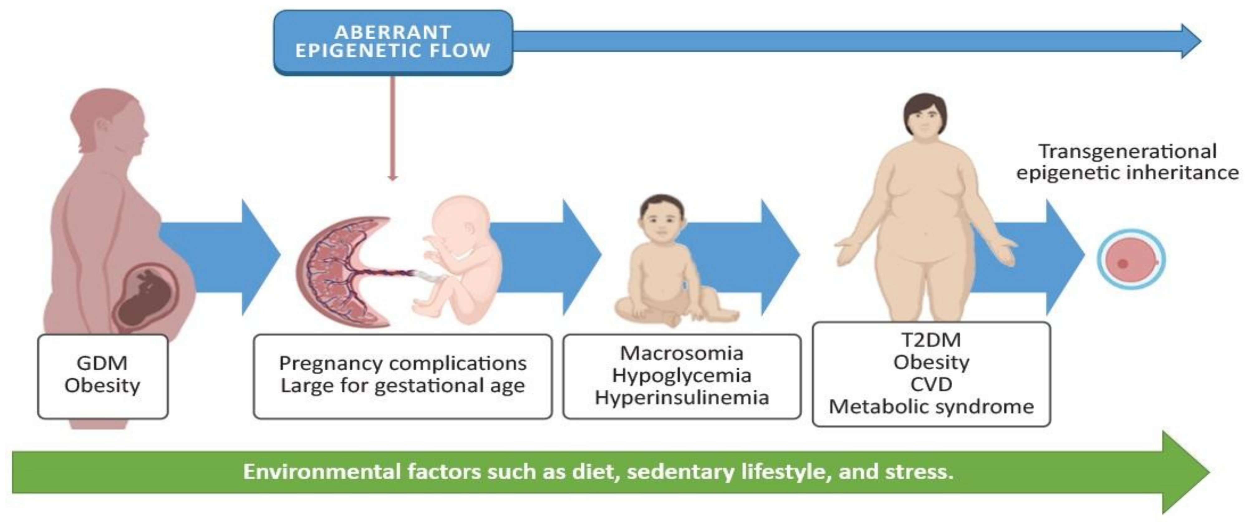 Epigenomes 05 00013 g002 Epigenomes 05 00013 g002