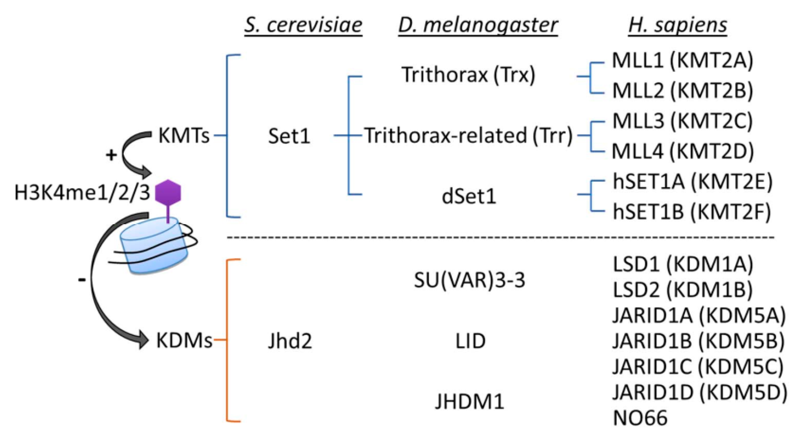 Epigenomes 05 00014 g002