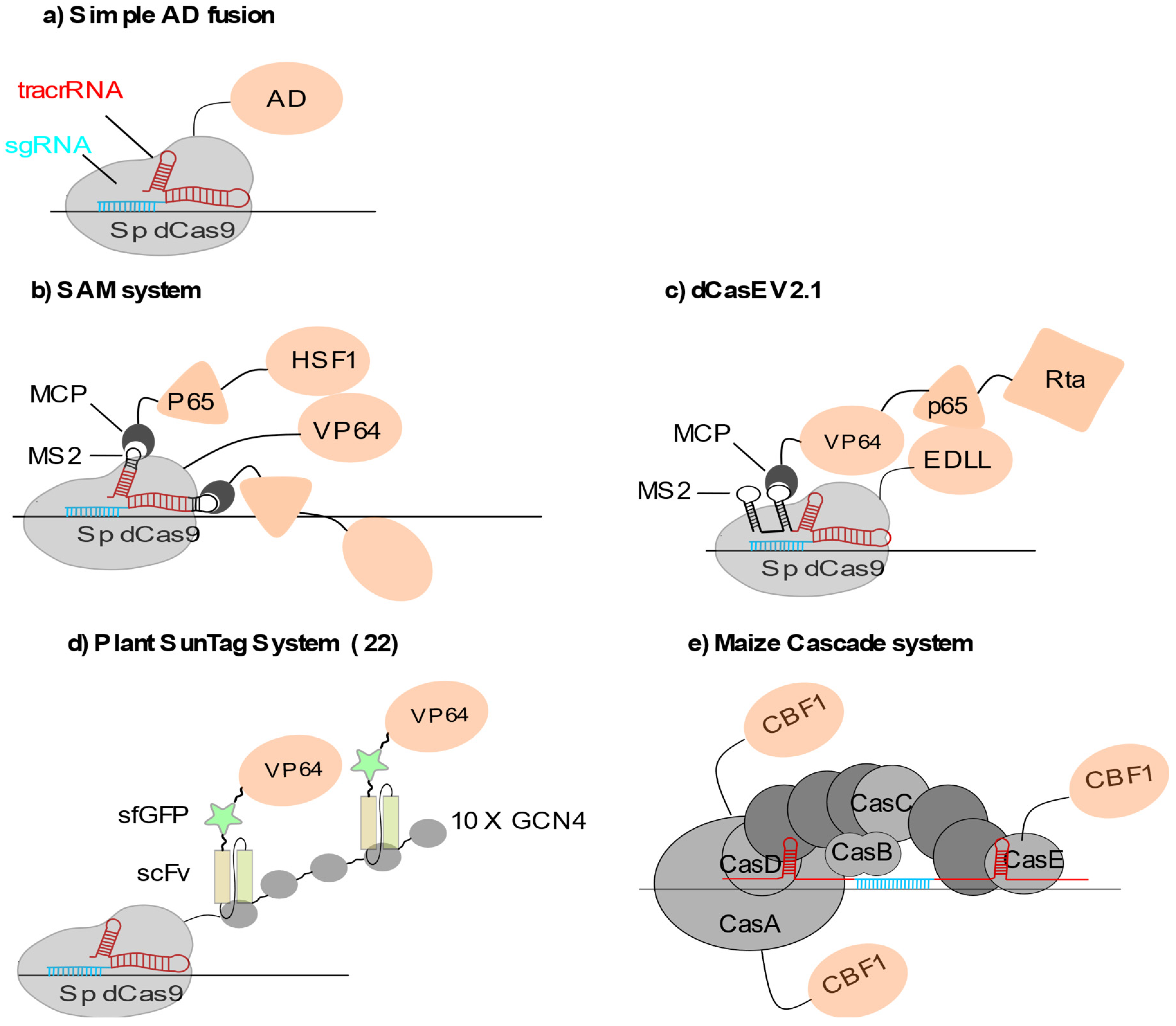 Epigenomes 05 00017 g001