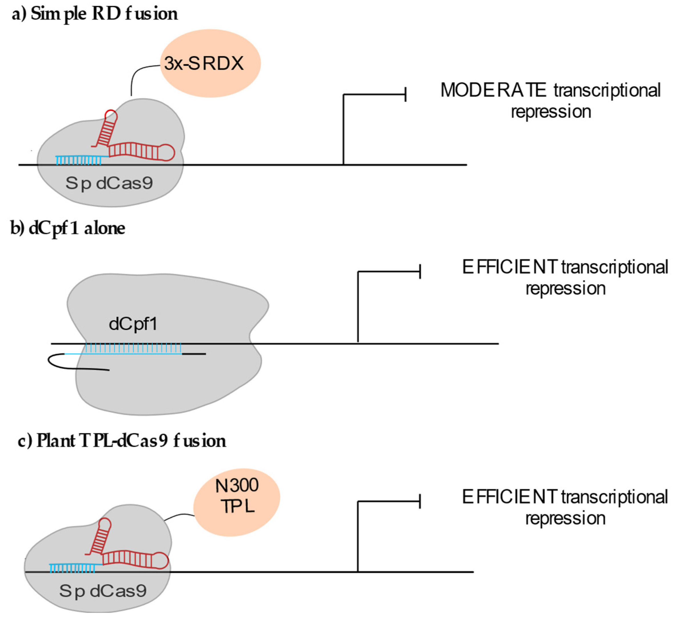 Epigenomes 05 00017 g002