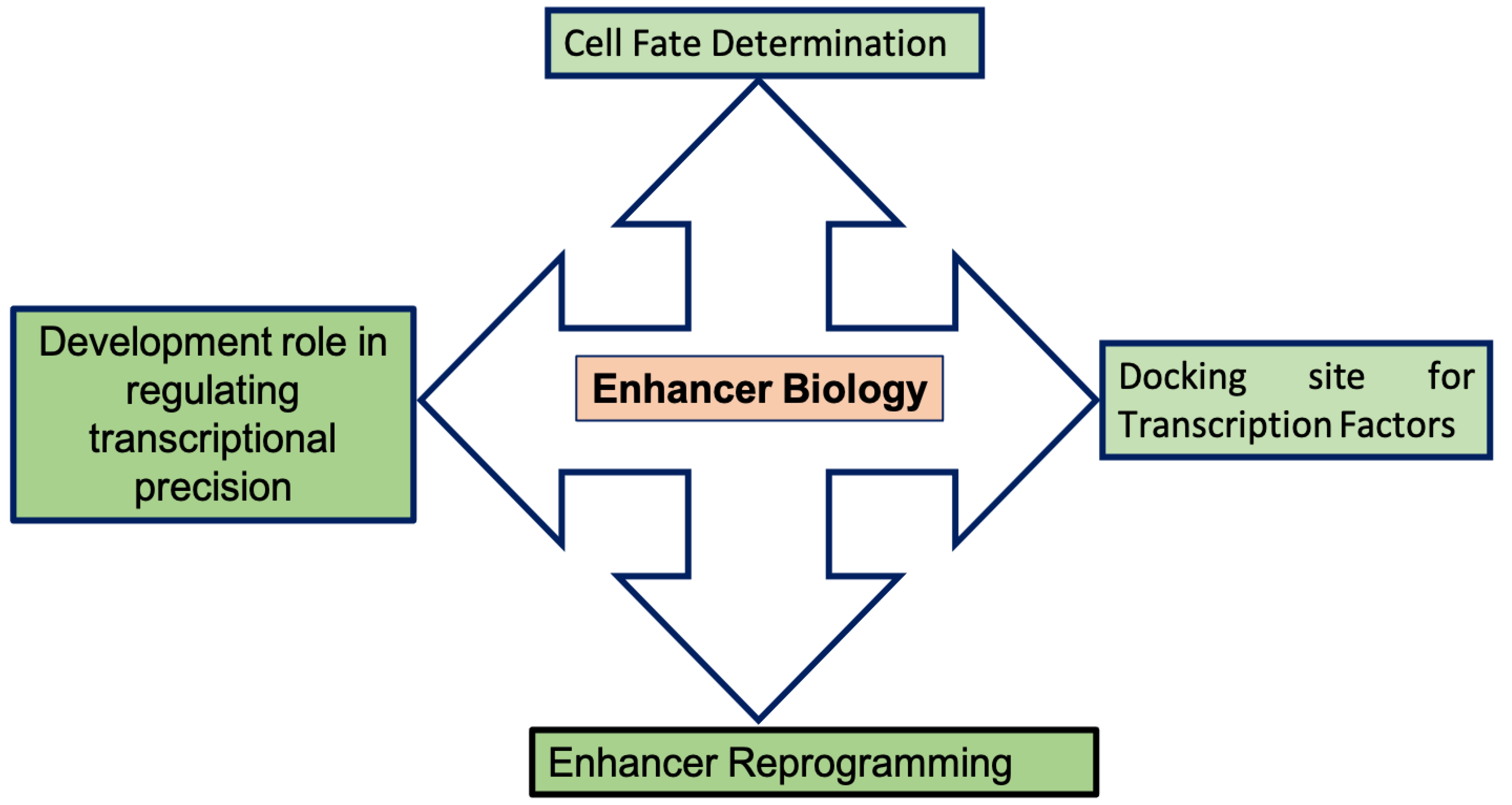 Epigenomes 05 00021 g001