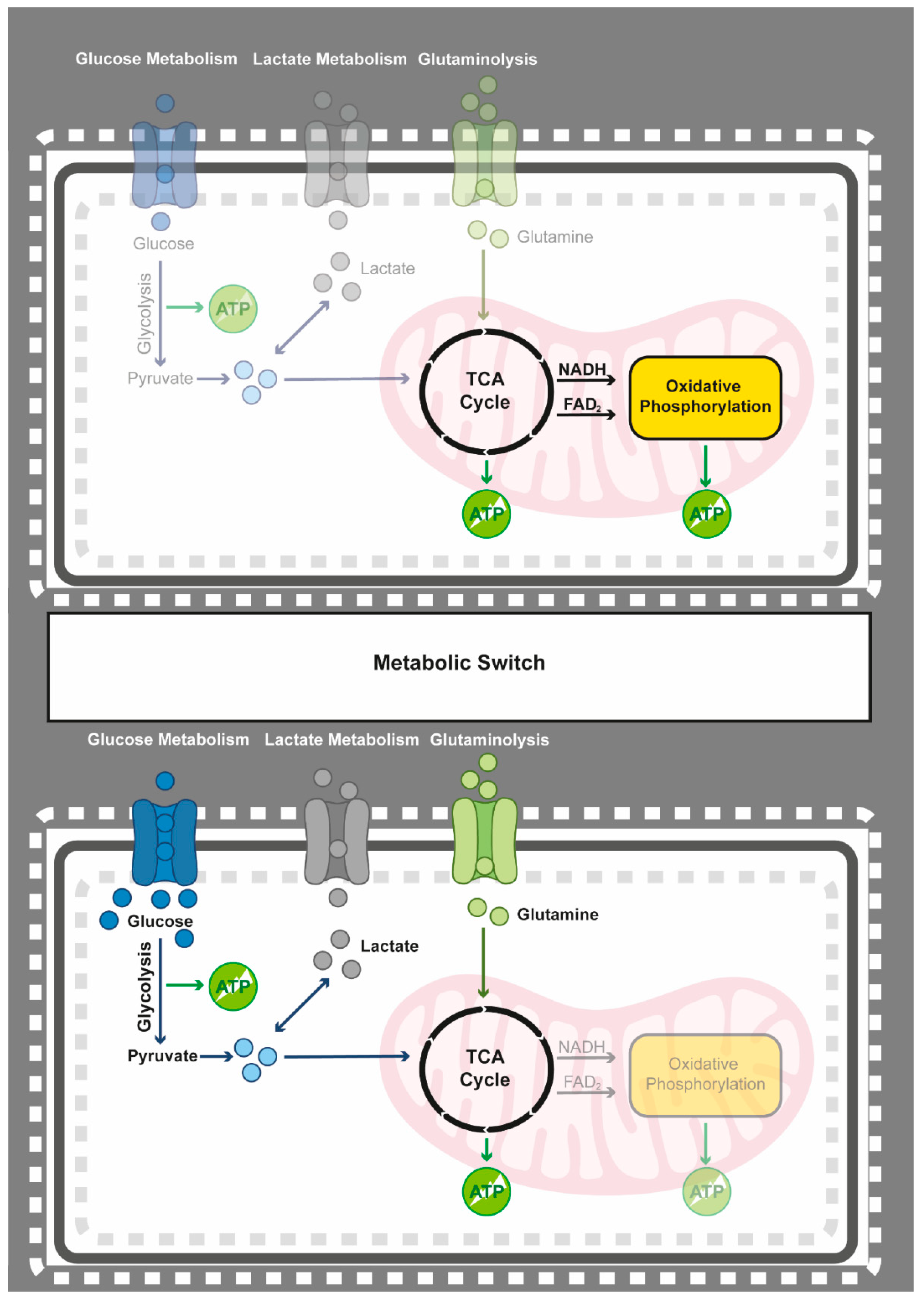 Epigenomes 05 00022 g001