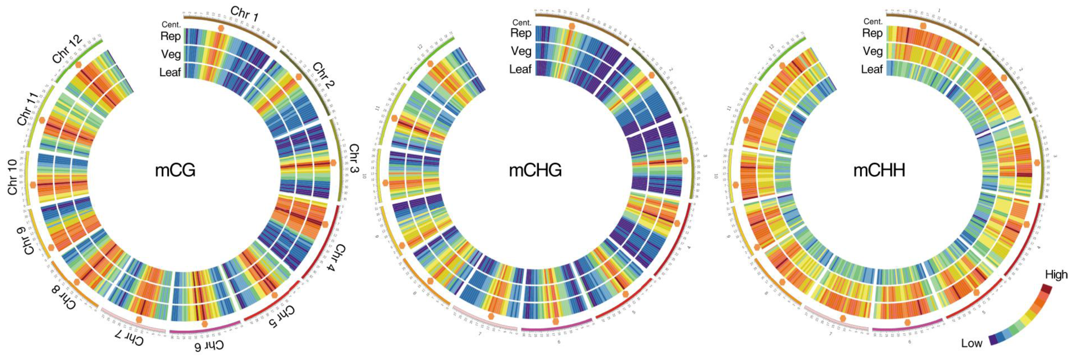 Epigenomes 05 00025 g001