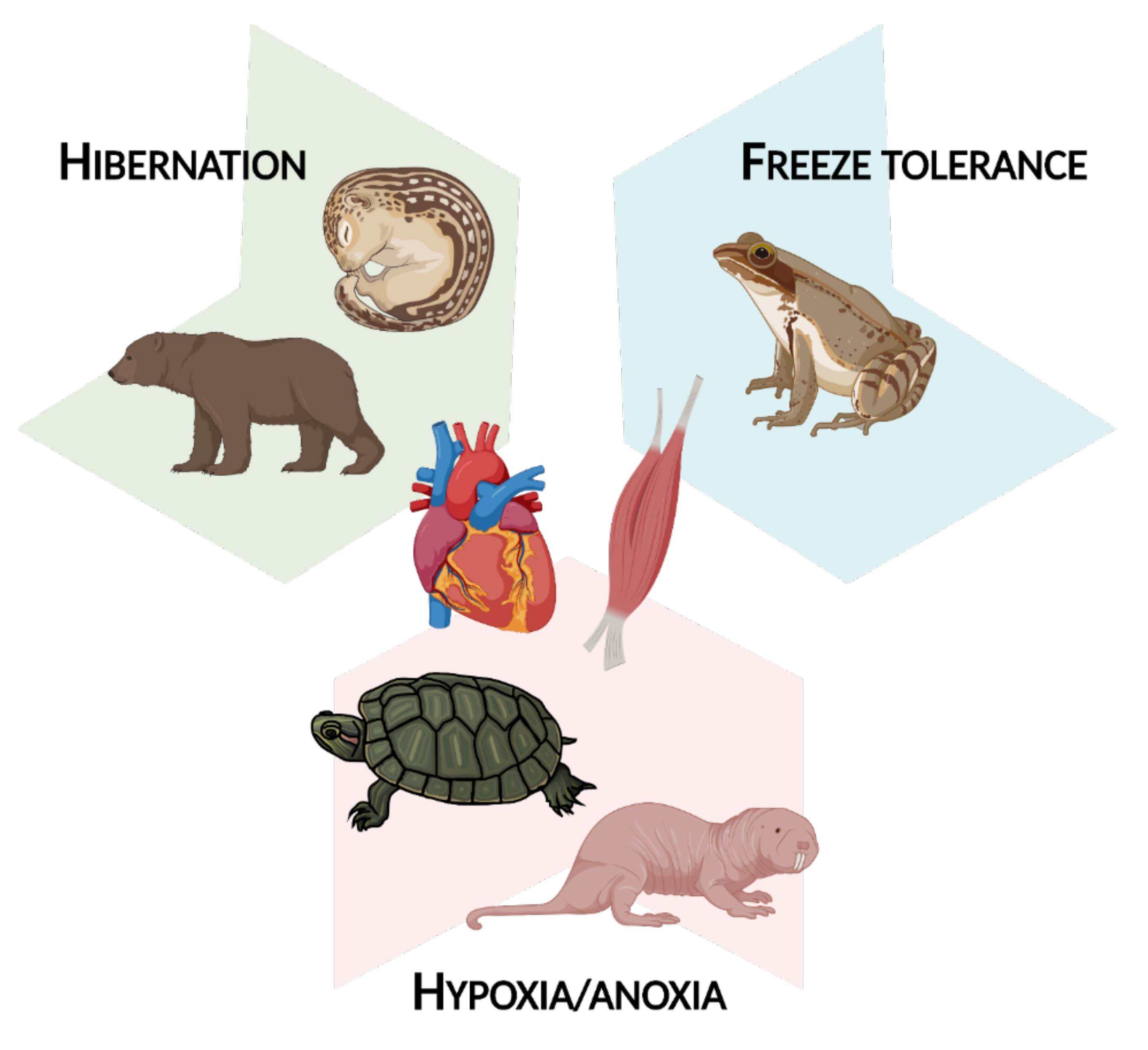 Epigenomes 05 00028 g002