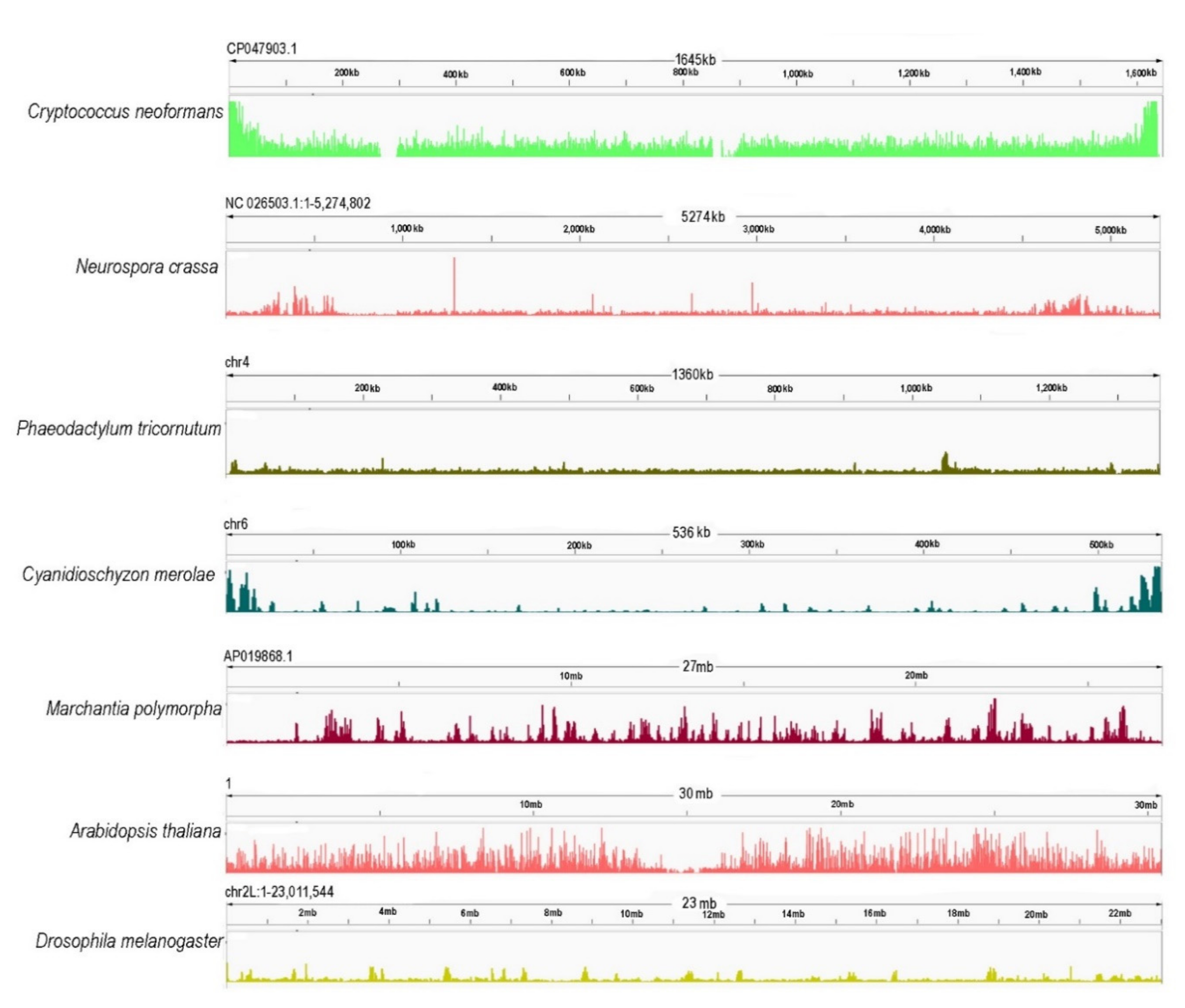 Epigenomes 06 00003 g003