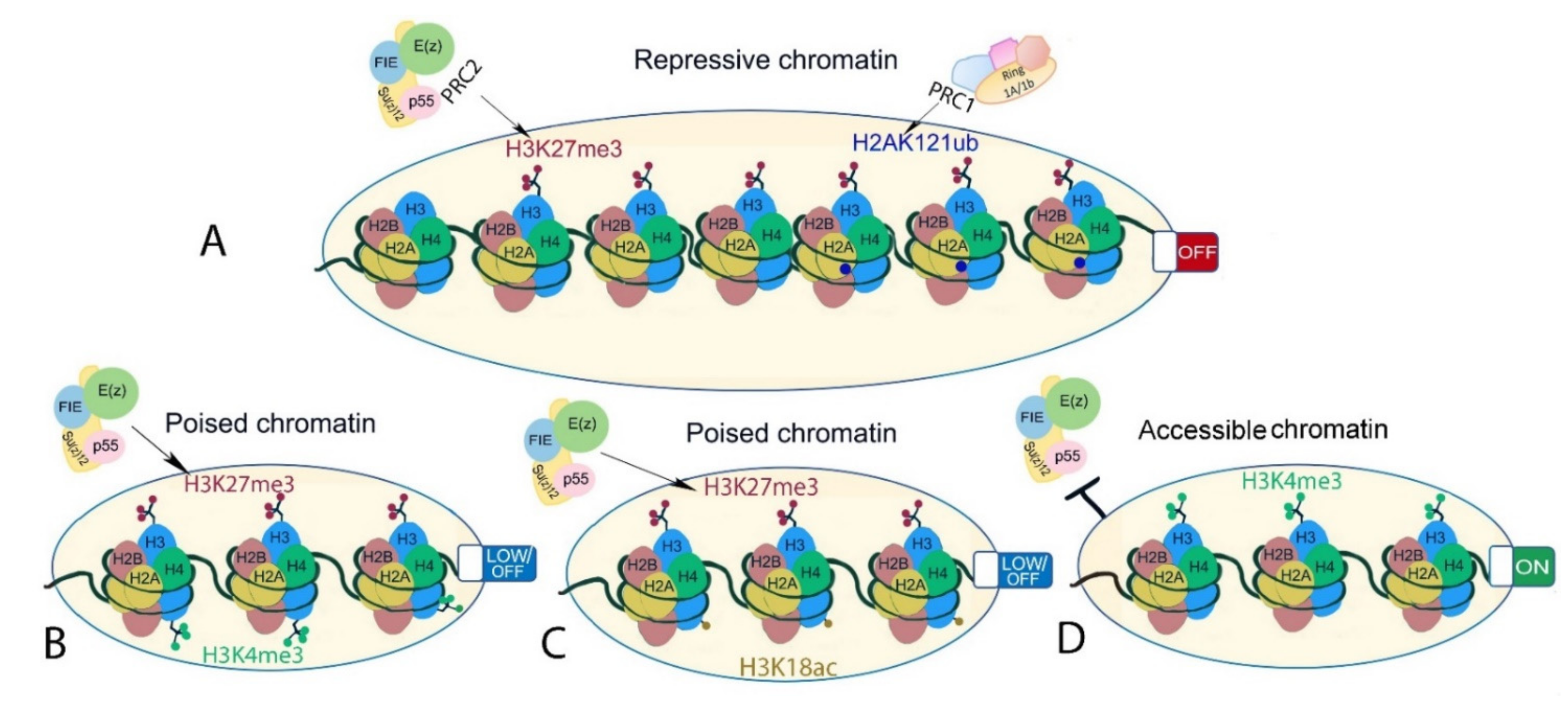 Epigenomes 06 00003 g004
