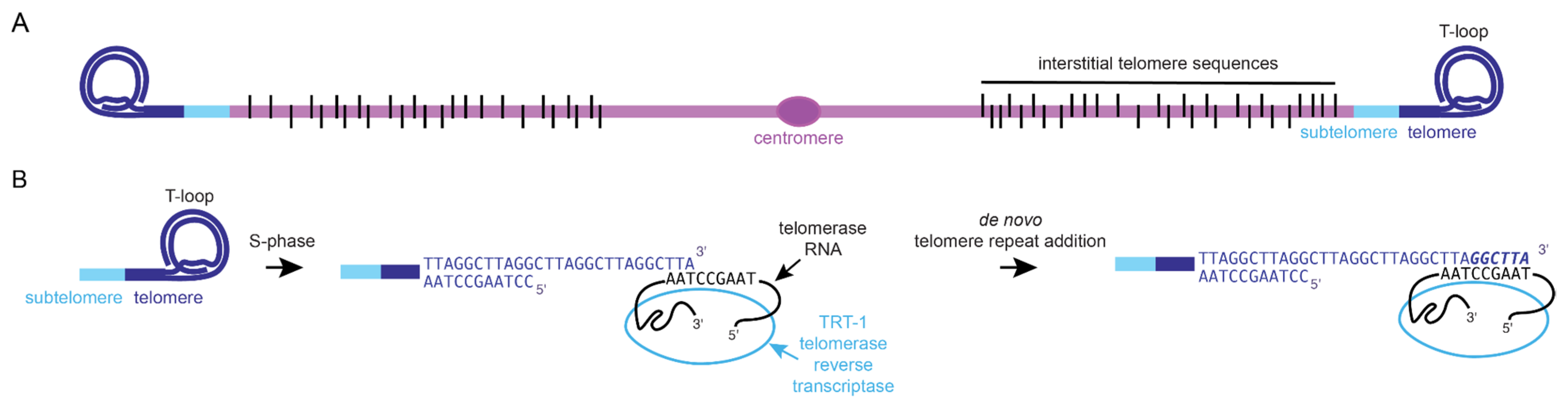 Epigenomes 06 00009 g001