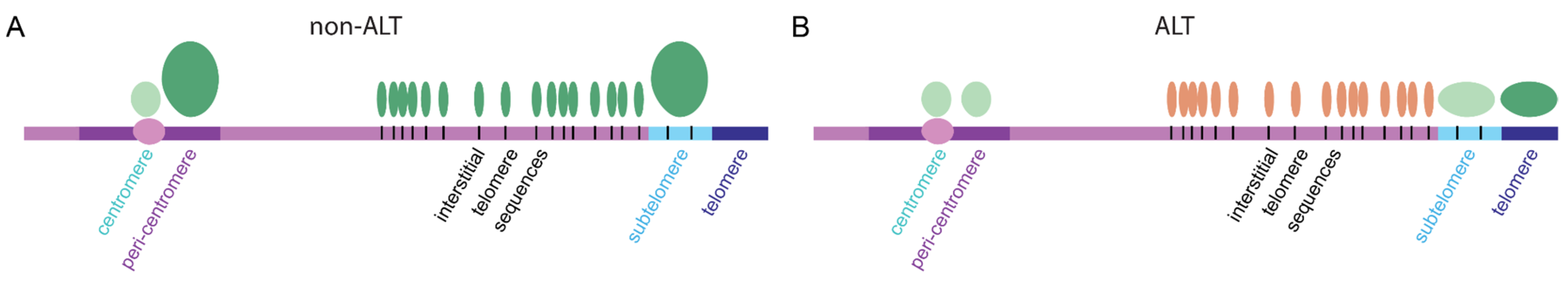 Epigenomes 06 00009 g002