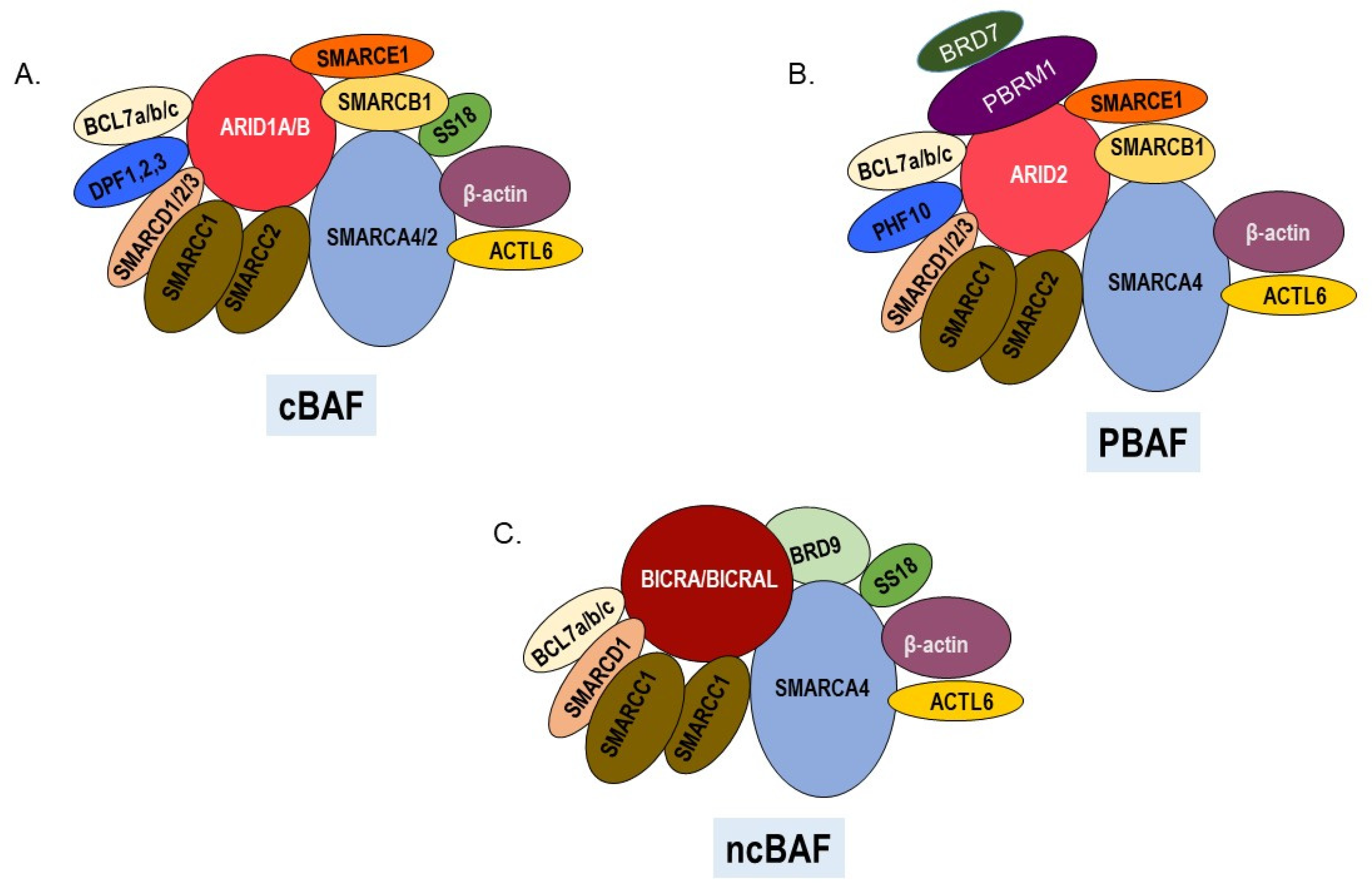 Epigenomes 06 00010 g001
