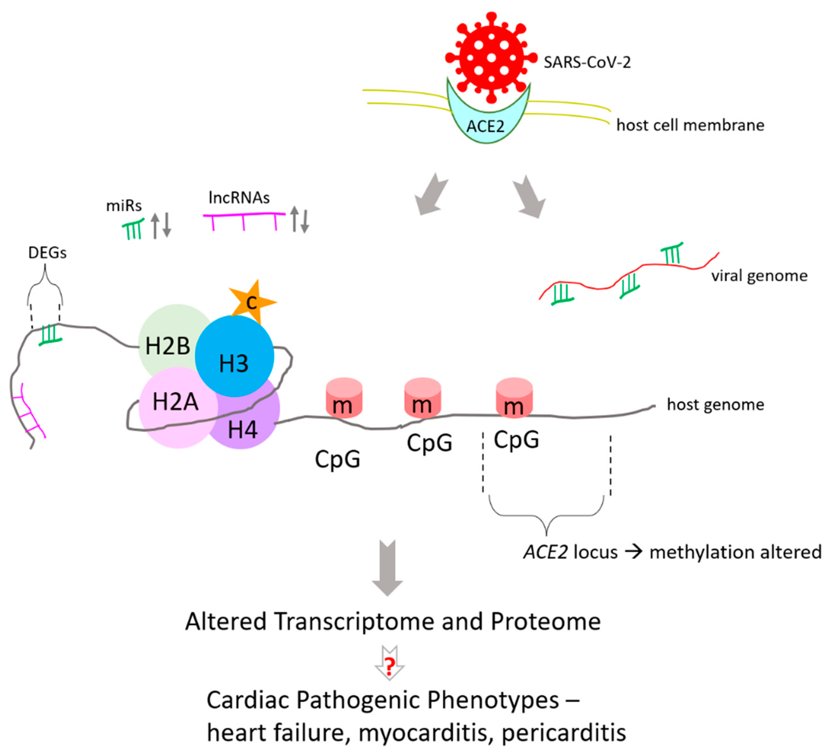 Epigenomes 06 00013 g001