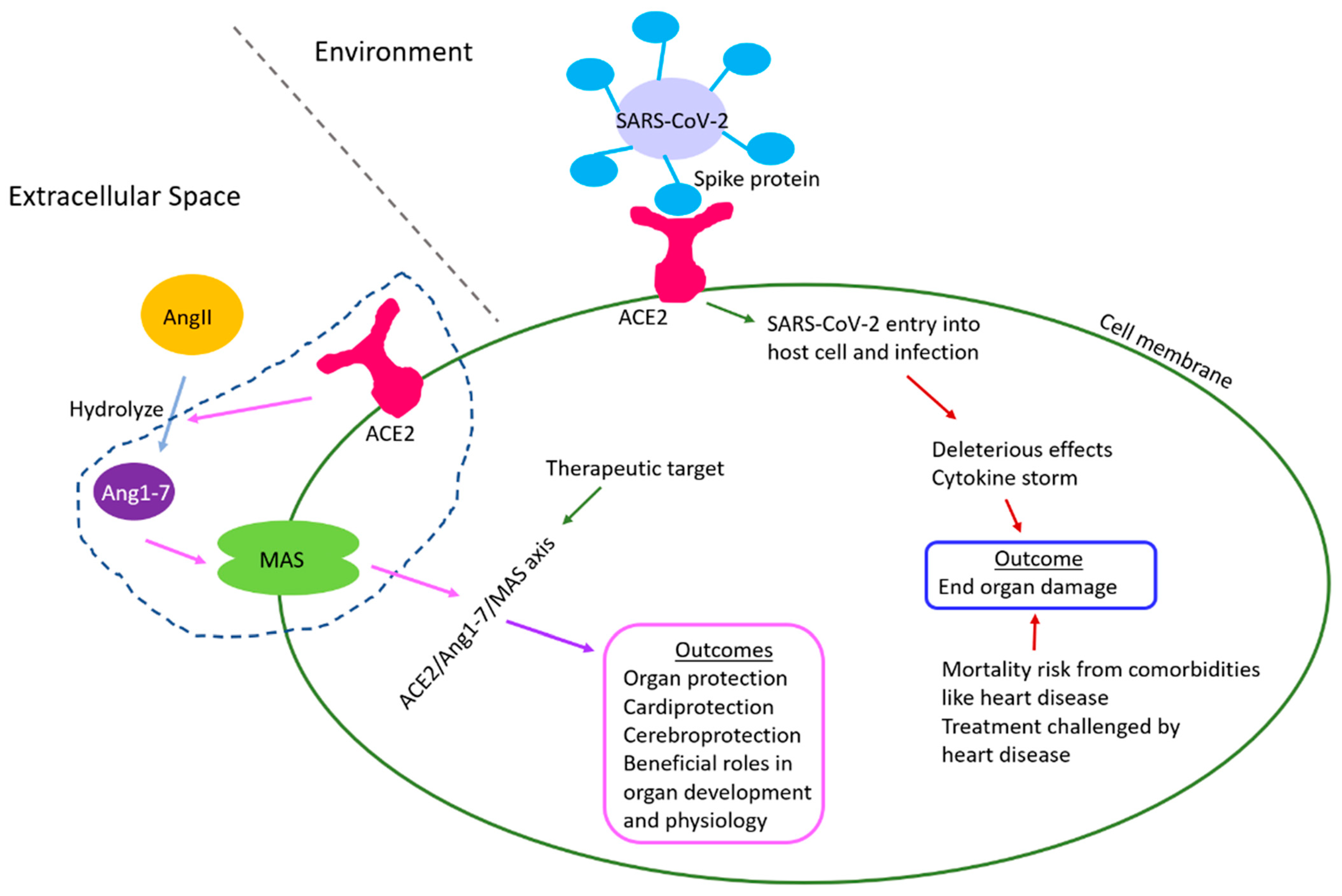 Epigenomes 06 00013 g005