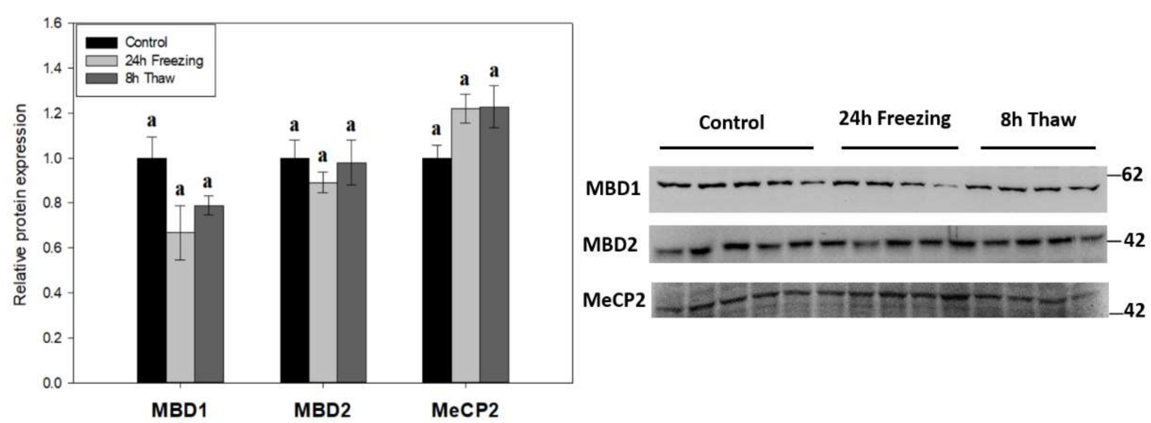 Epigenomes 06 00017 g004