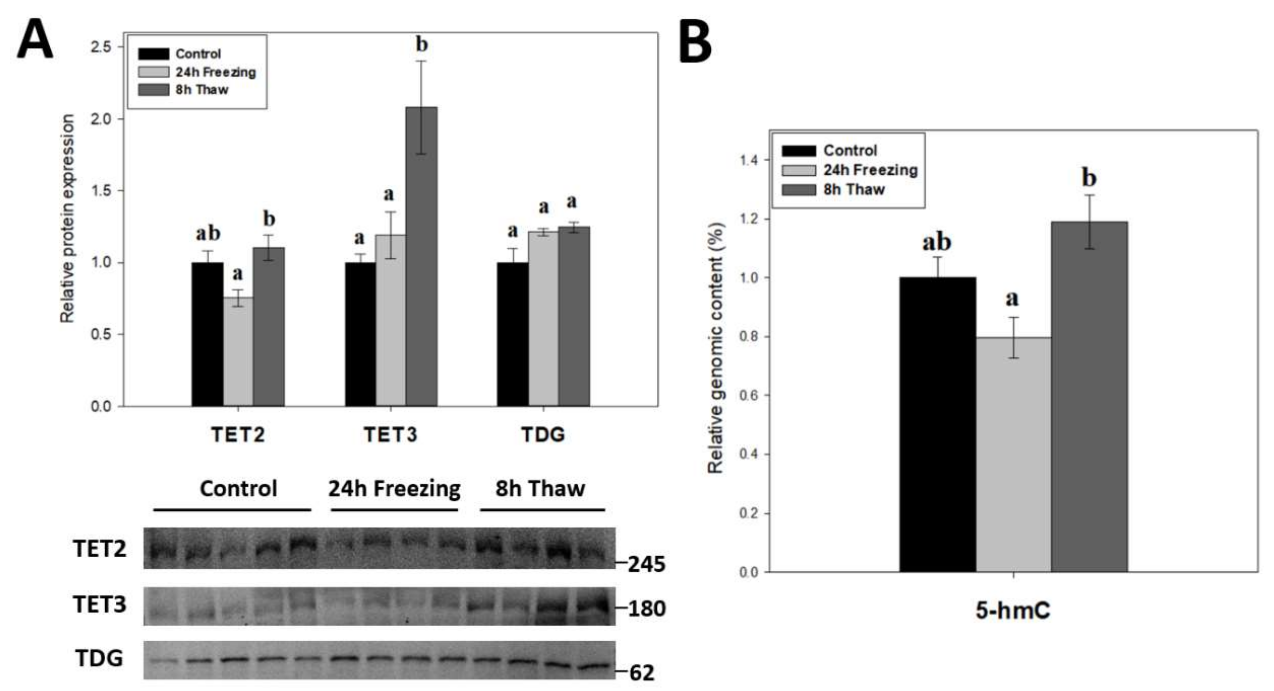 Epigenomes 06 00017 g005