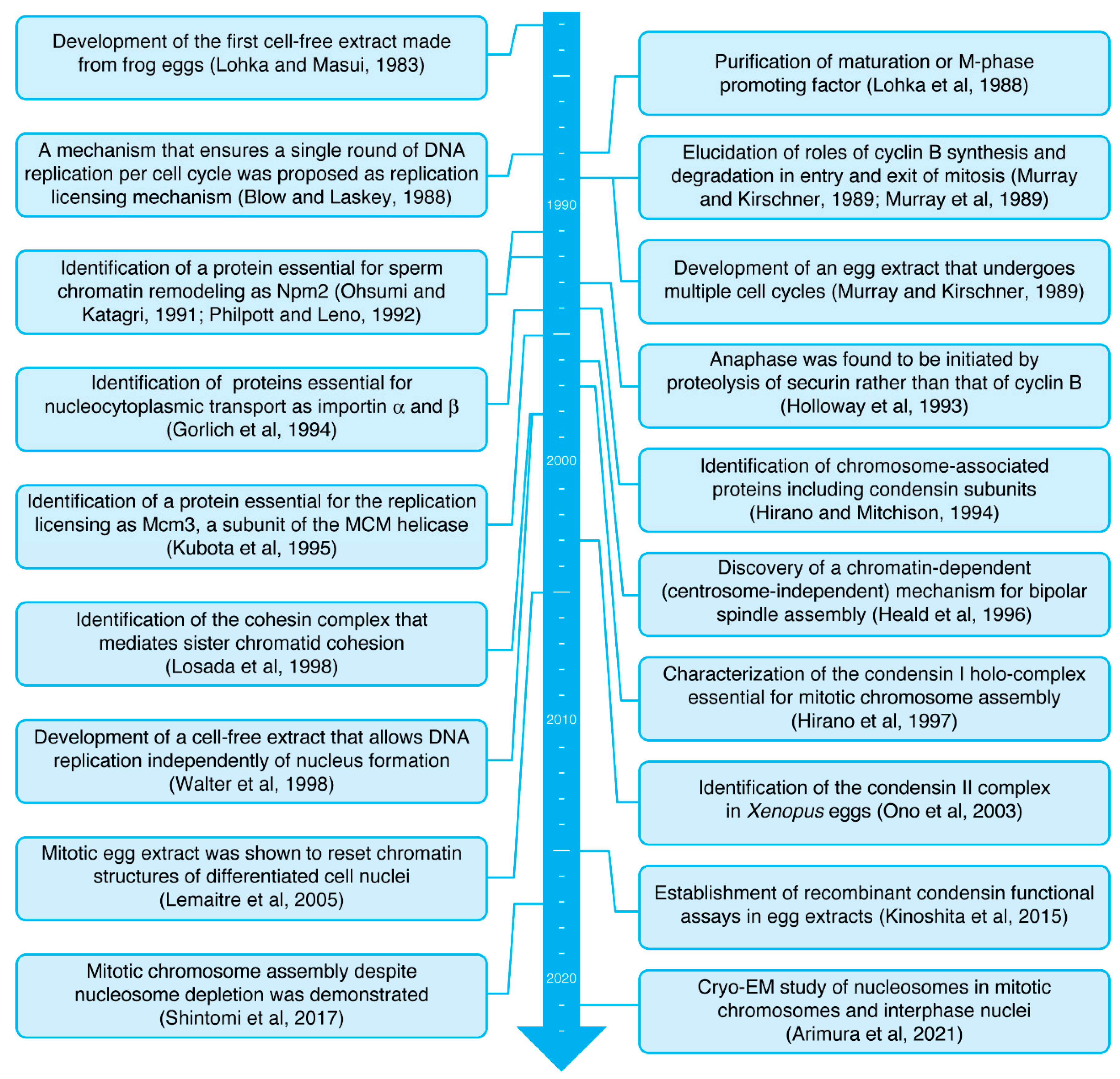 Epigenomes 06 00020 g002