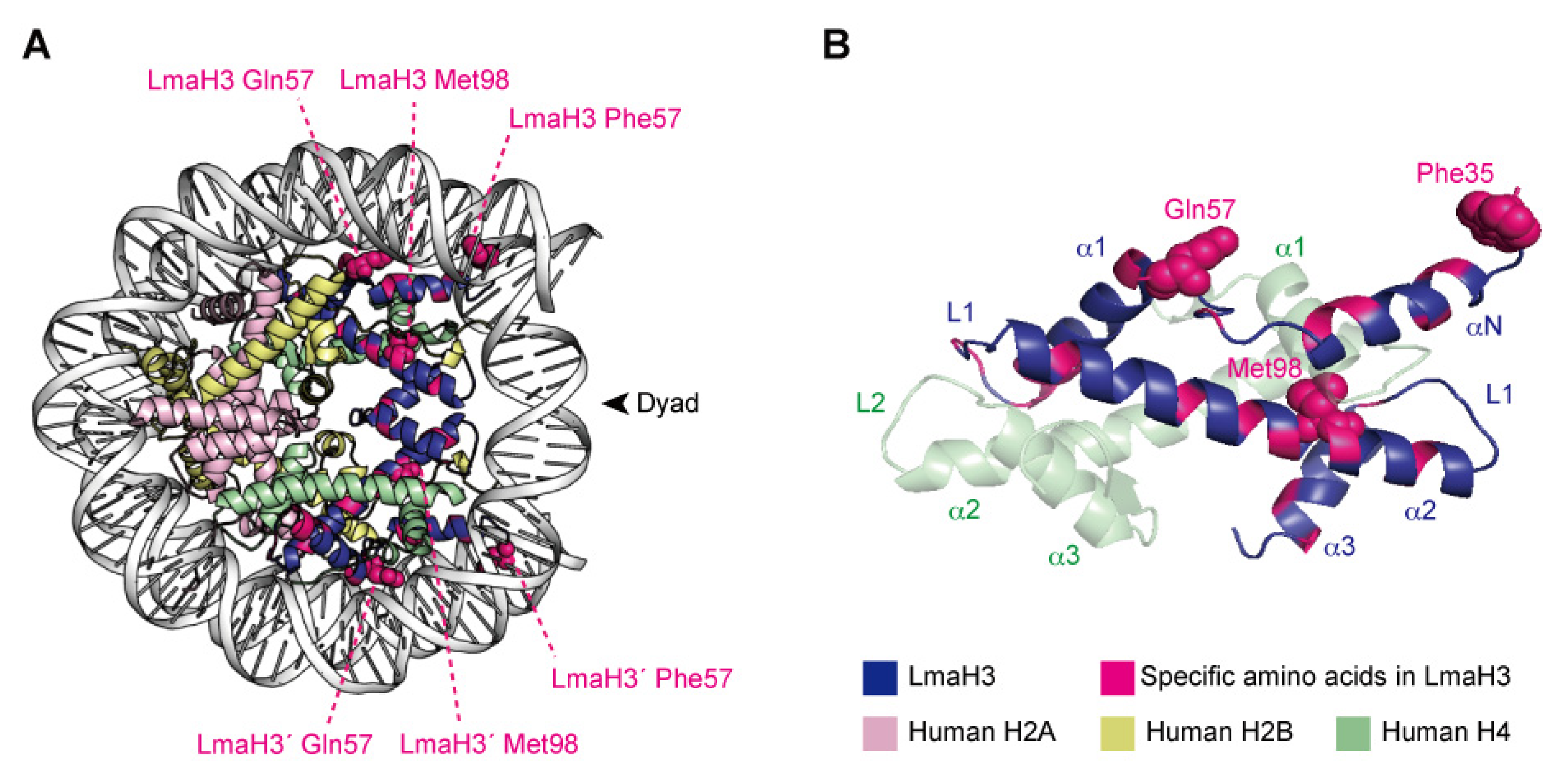 Epigenomes 06 00022 g003