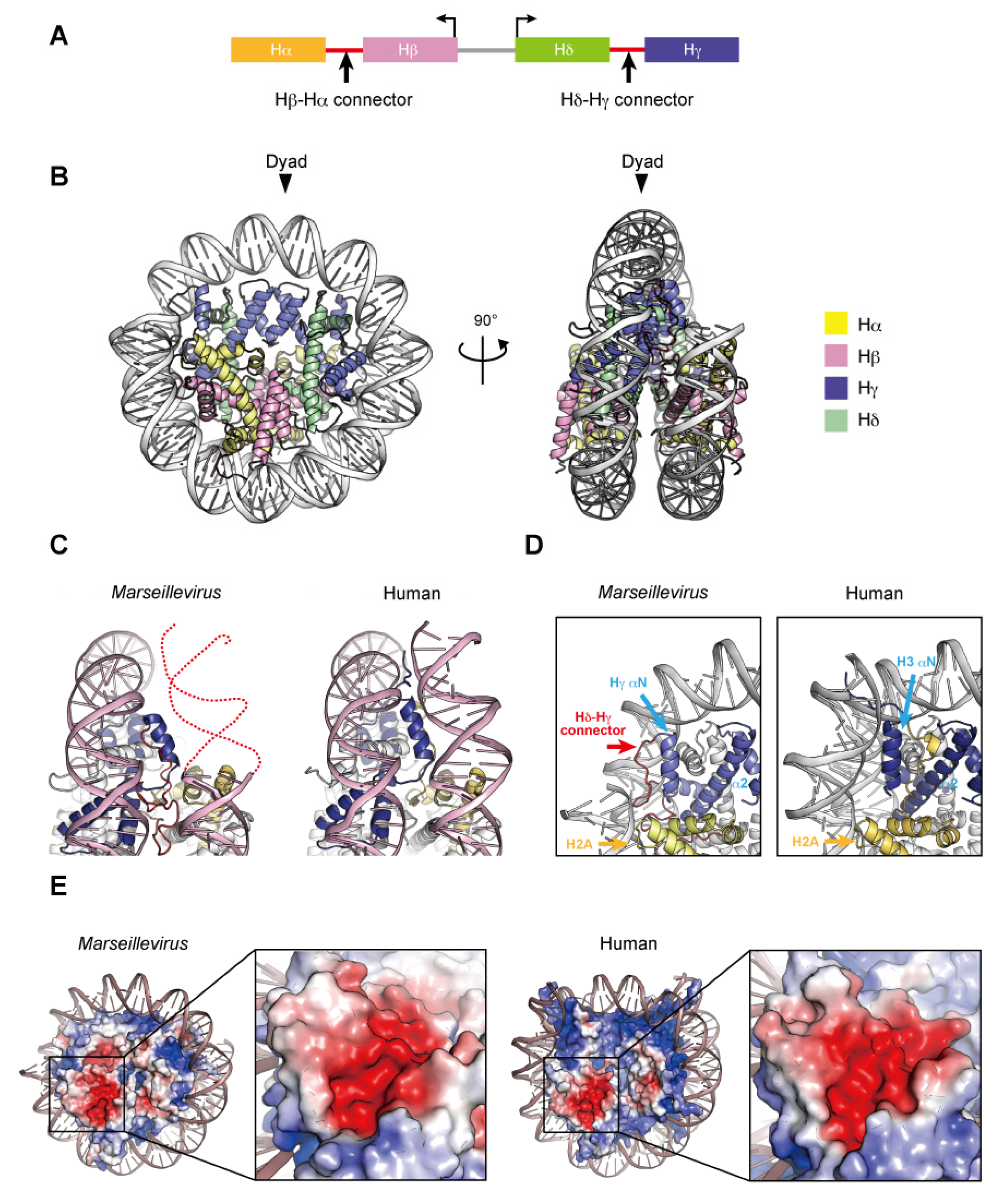 Epigenomes 06 00022 g004