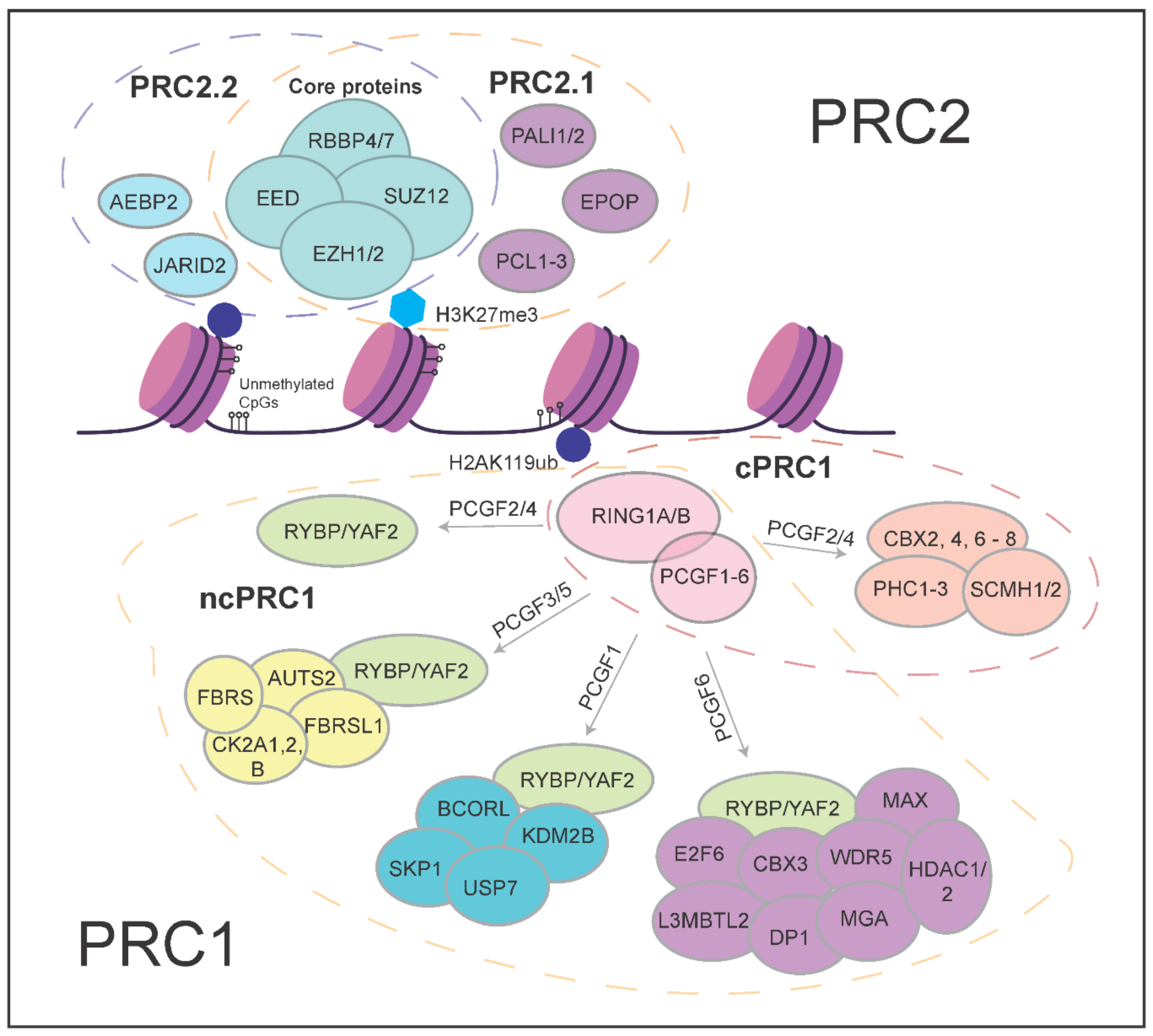 Epigenomes 06 00023 g001