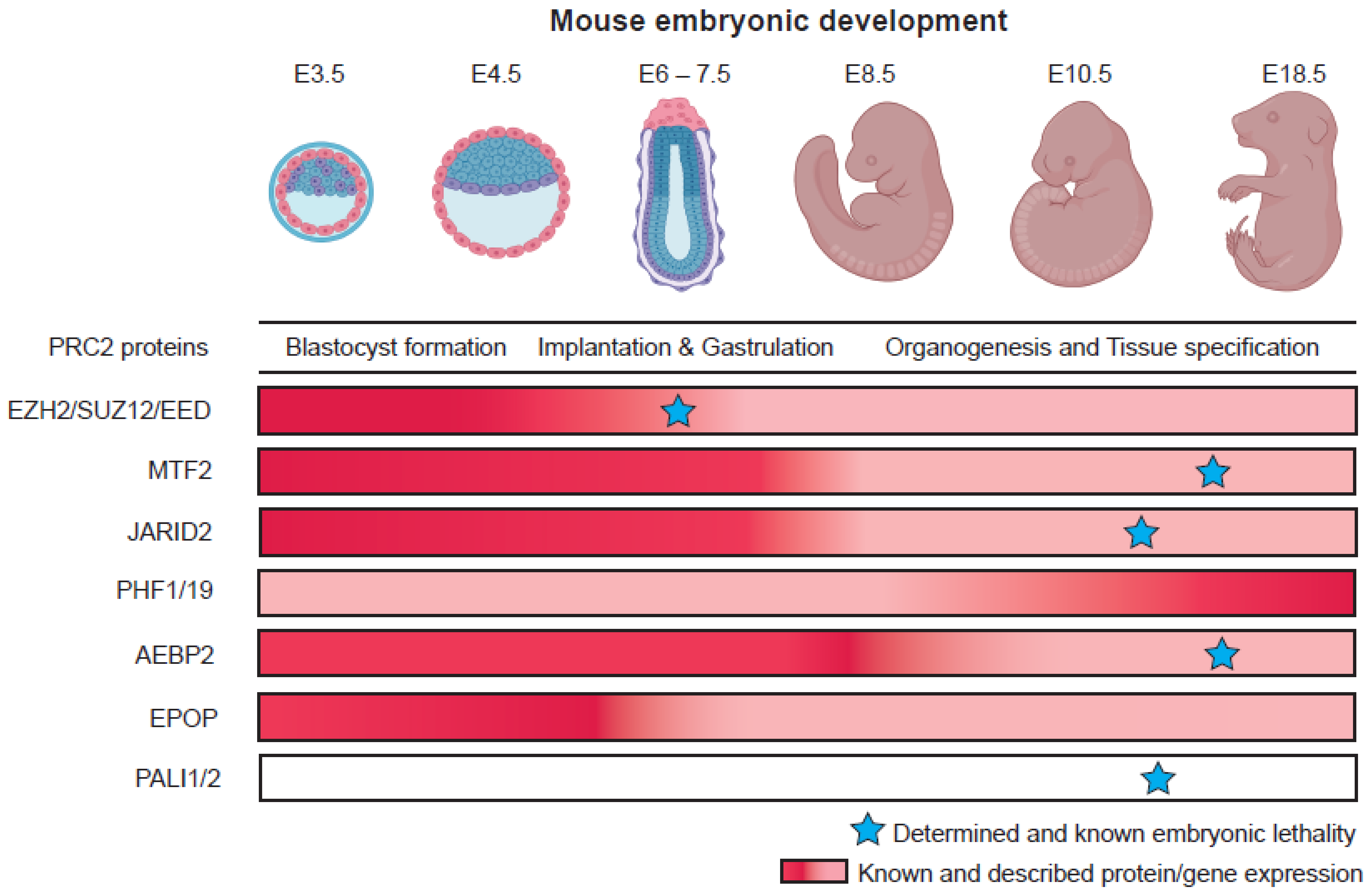 Epigenomes 06 00023 g003