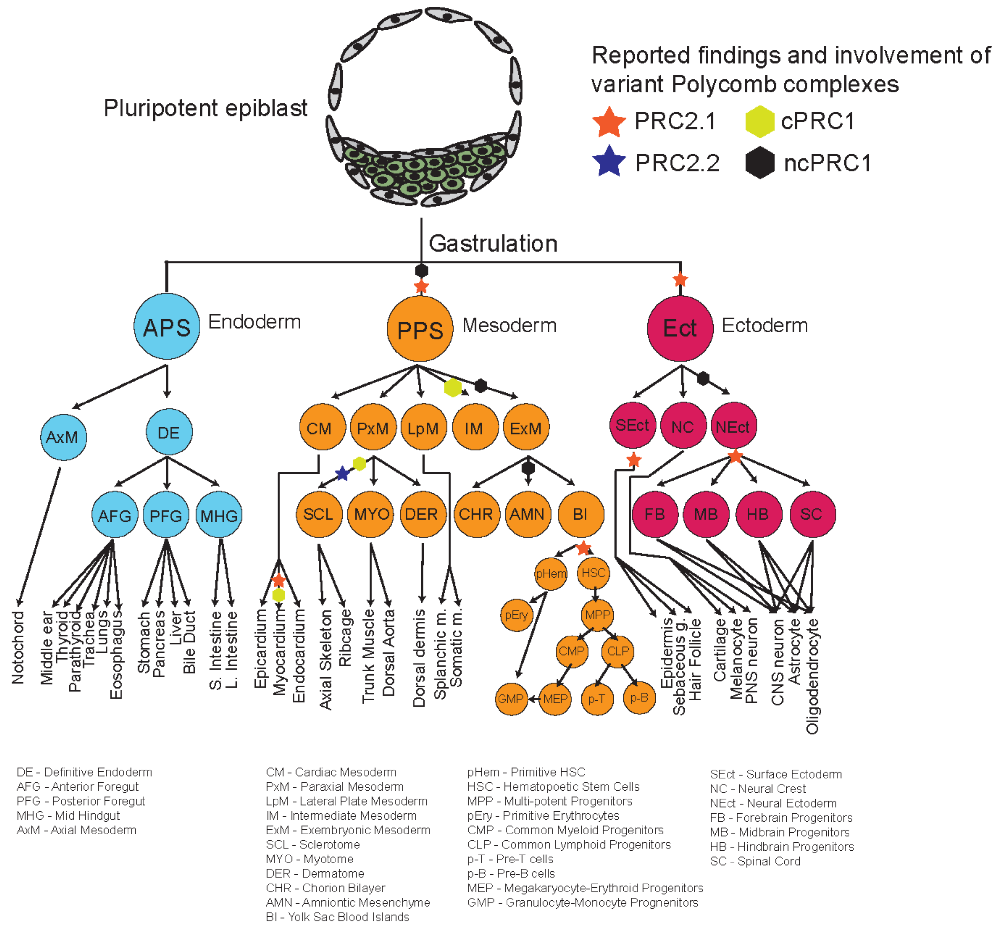 Epigenomes 06 00023 g004